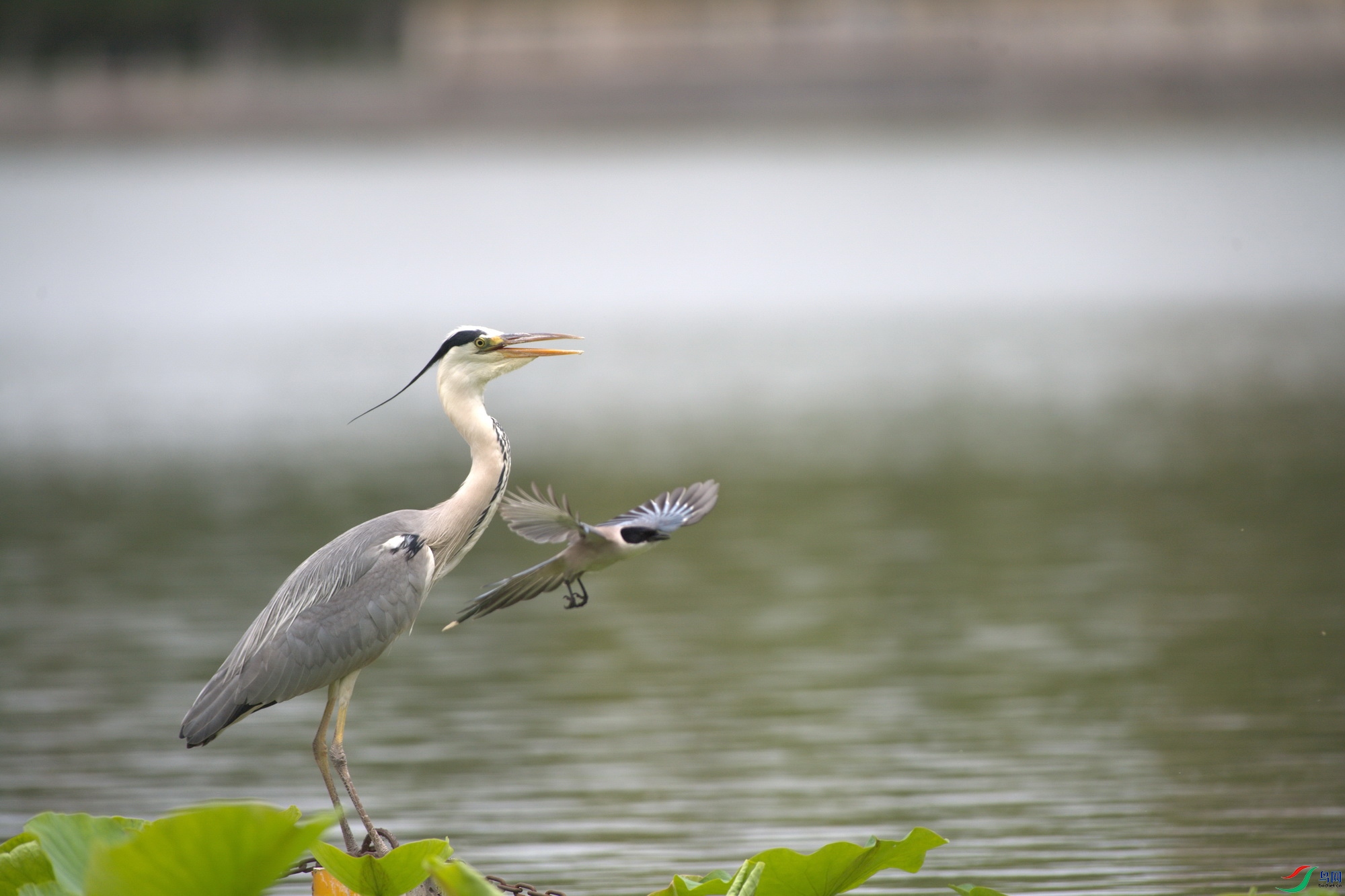 DSC_0149.jpg