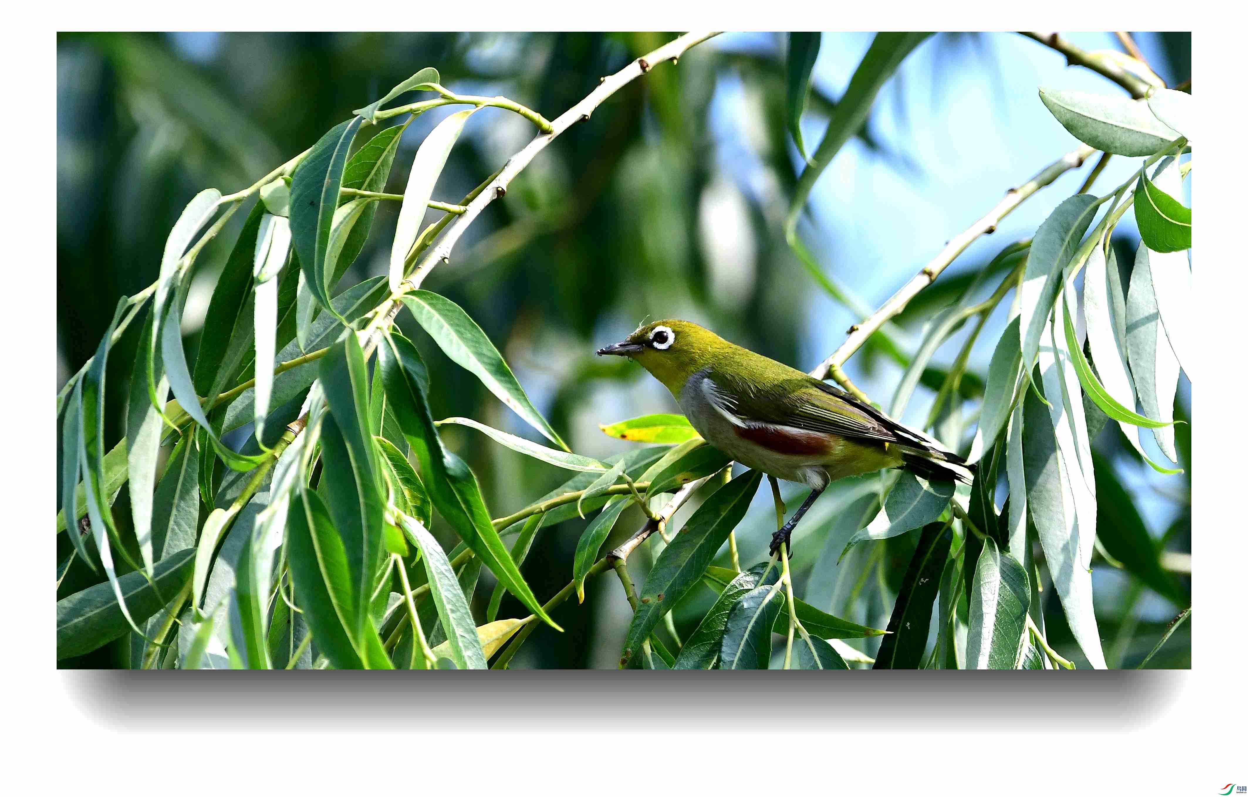 ��в����