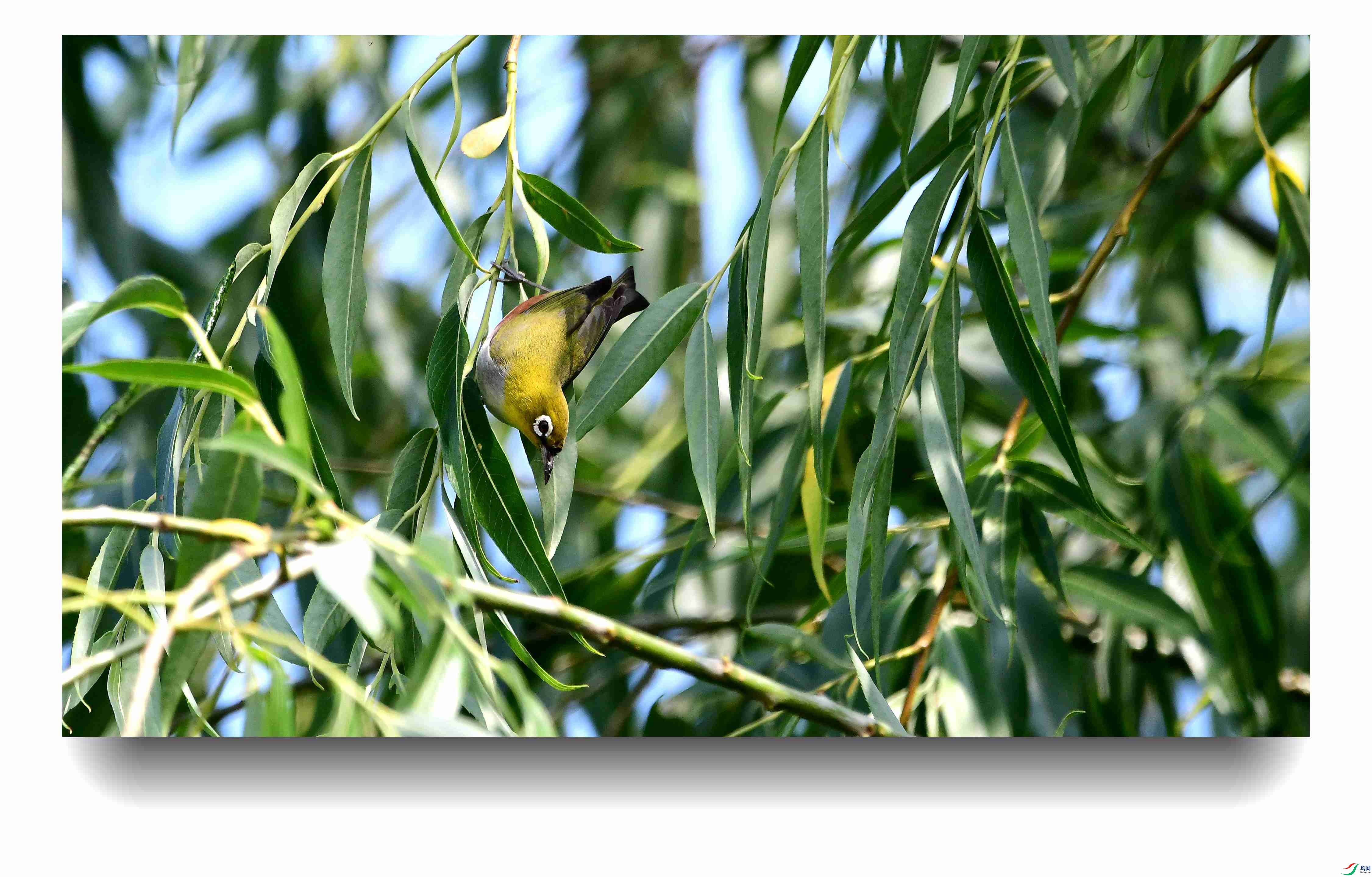 ��в����