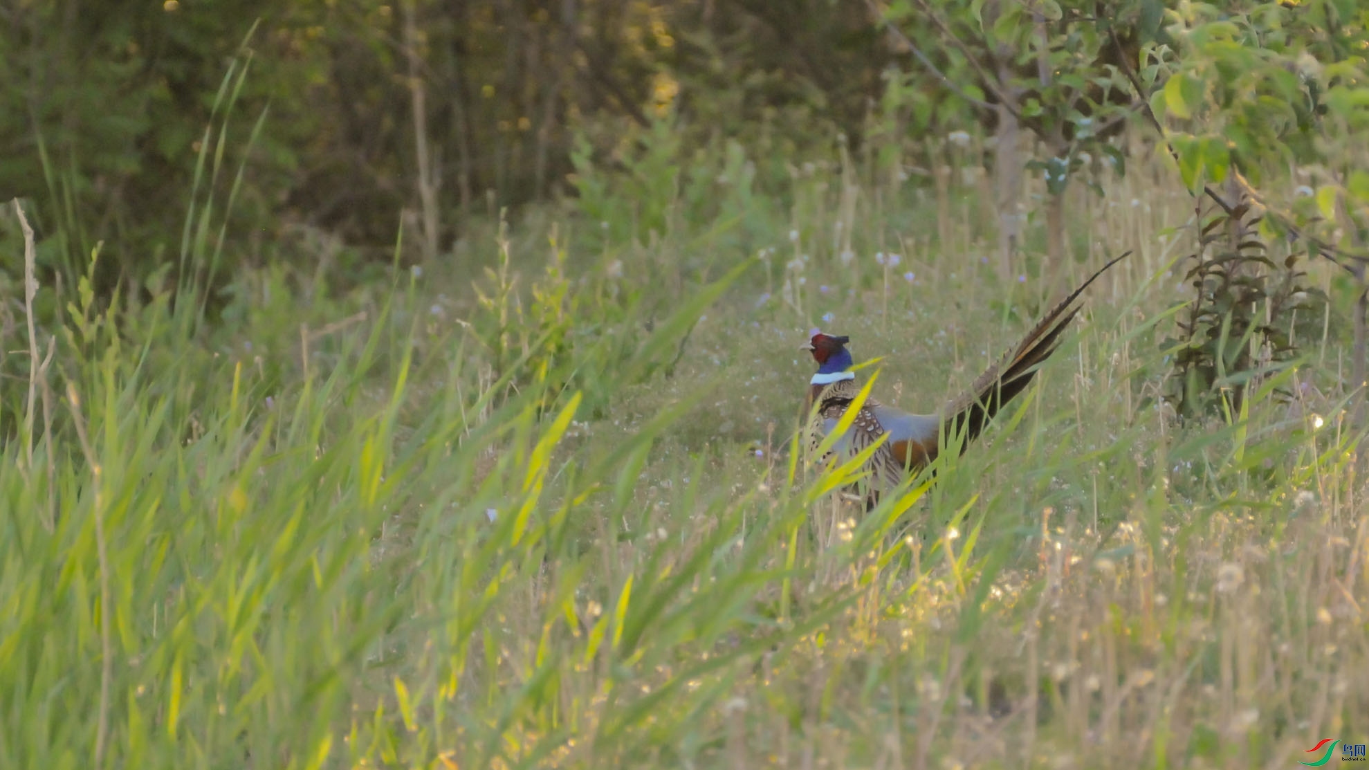 DSC_2984-2.jpg