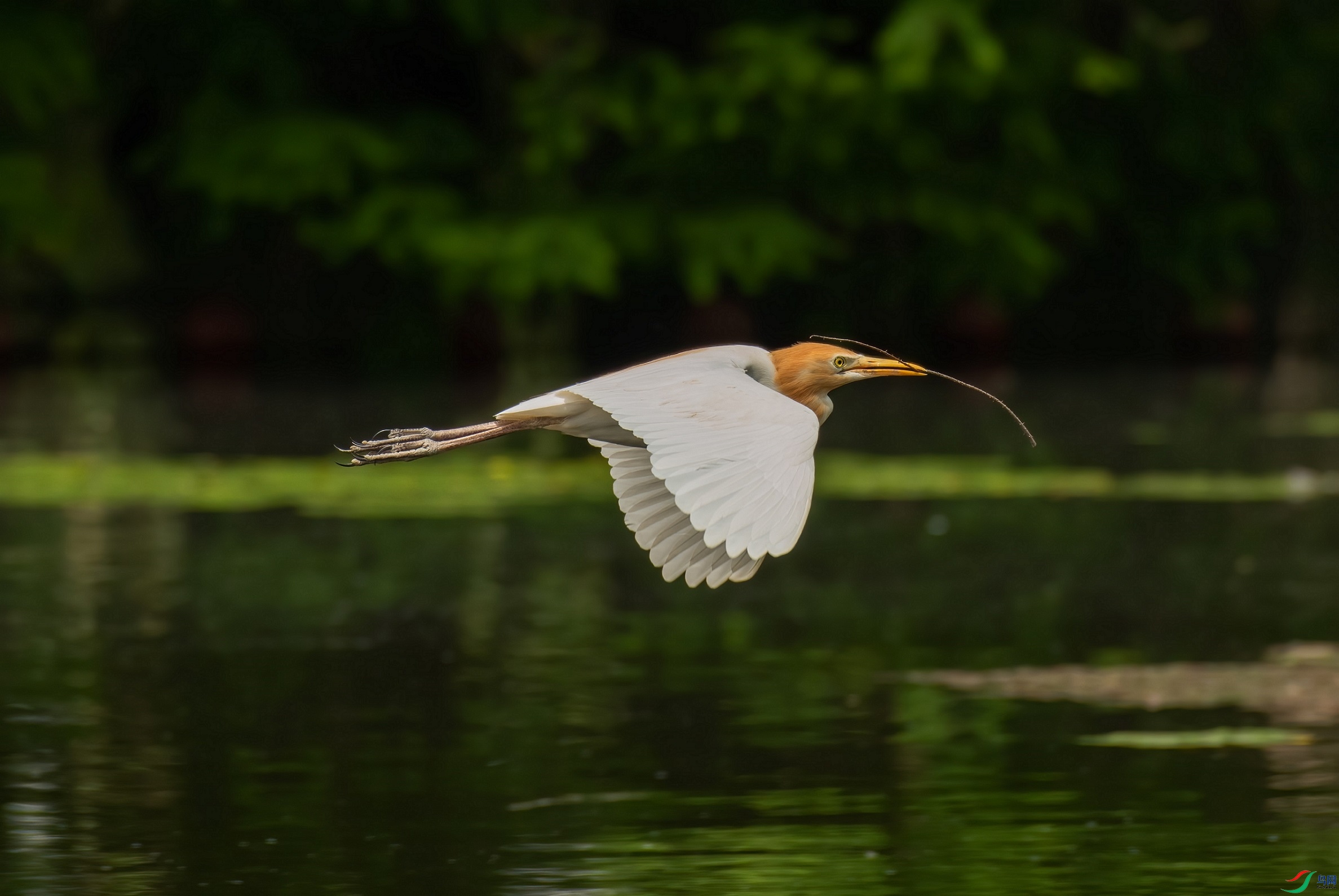 DSC_7652.jpg