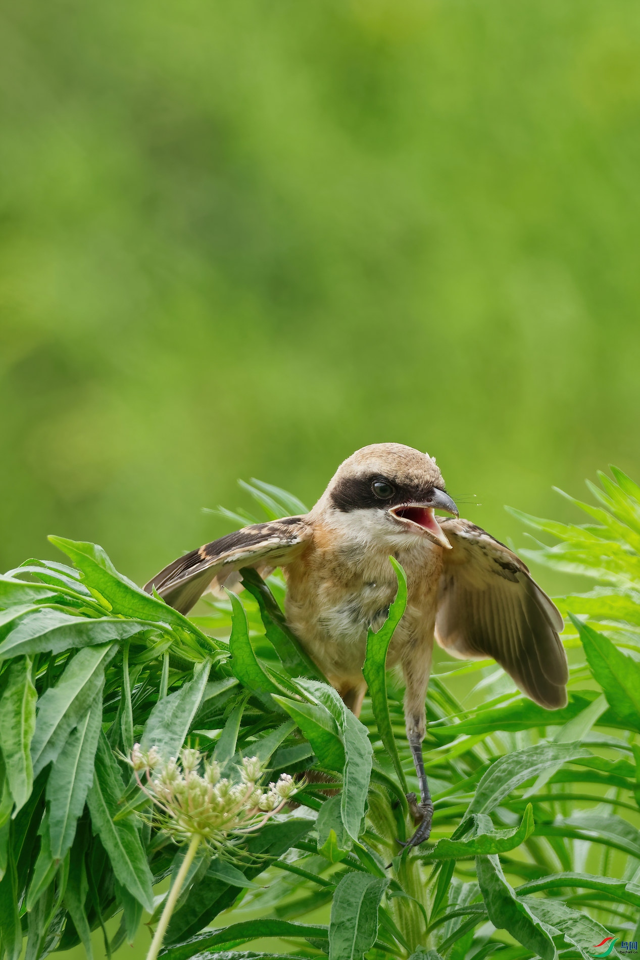 P1084018_DxO-d2.jpg