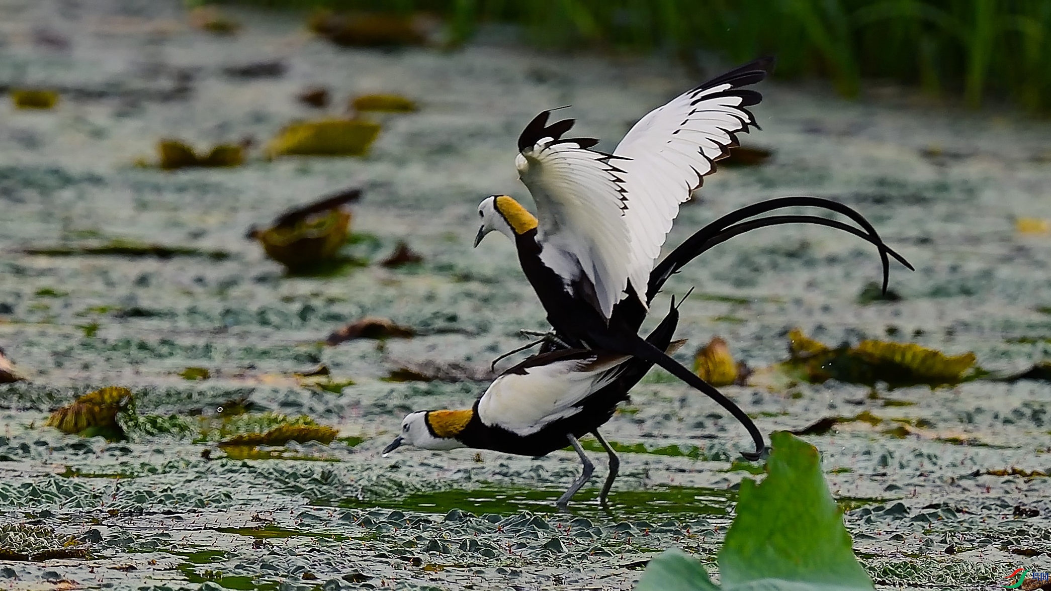 ���ռ���