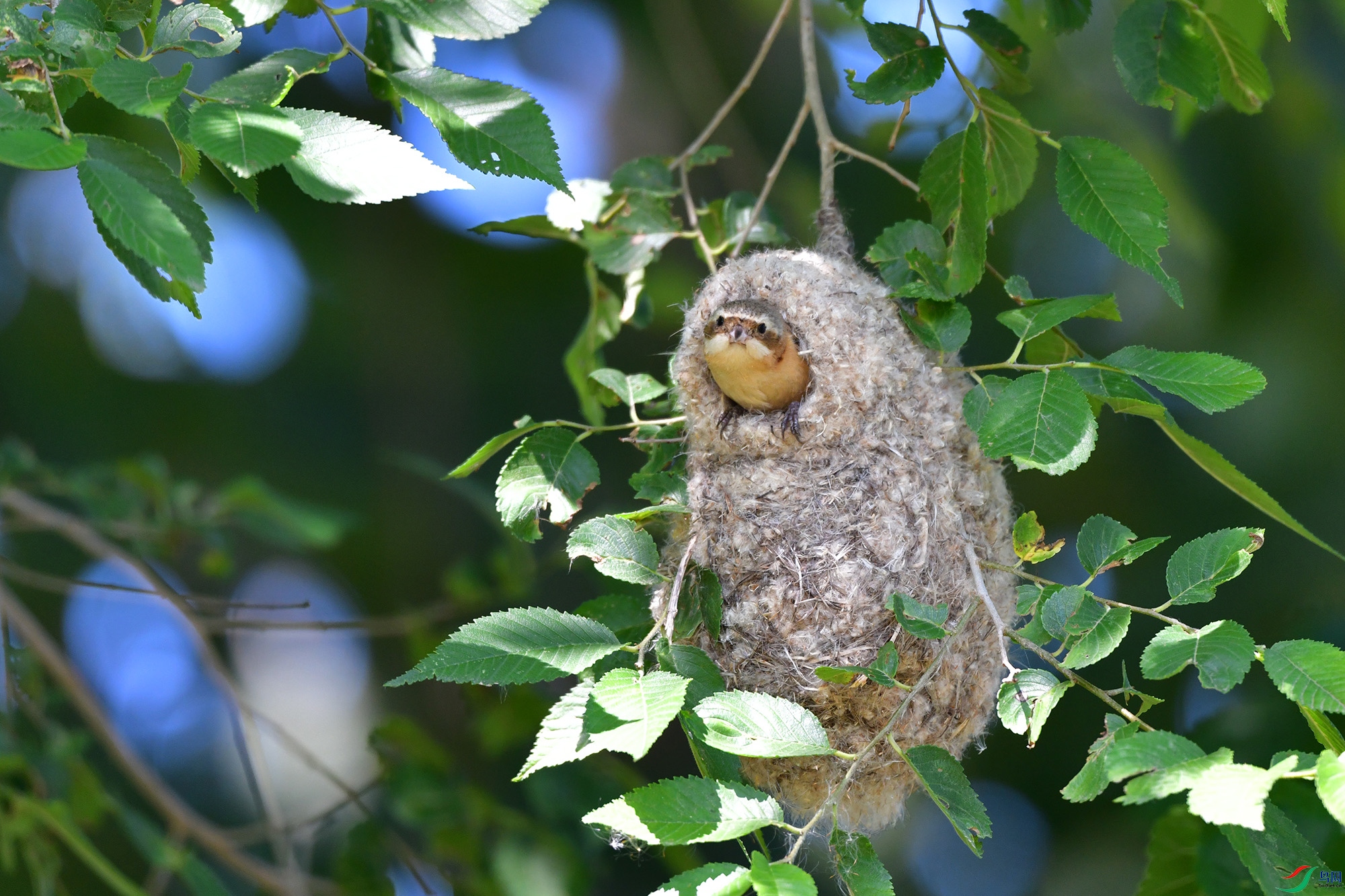 DSC_5032.jpg