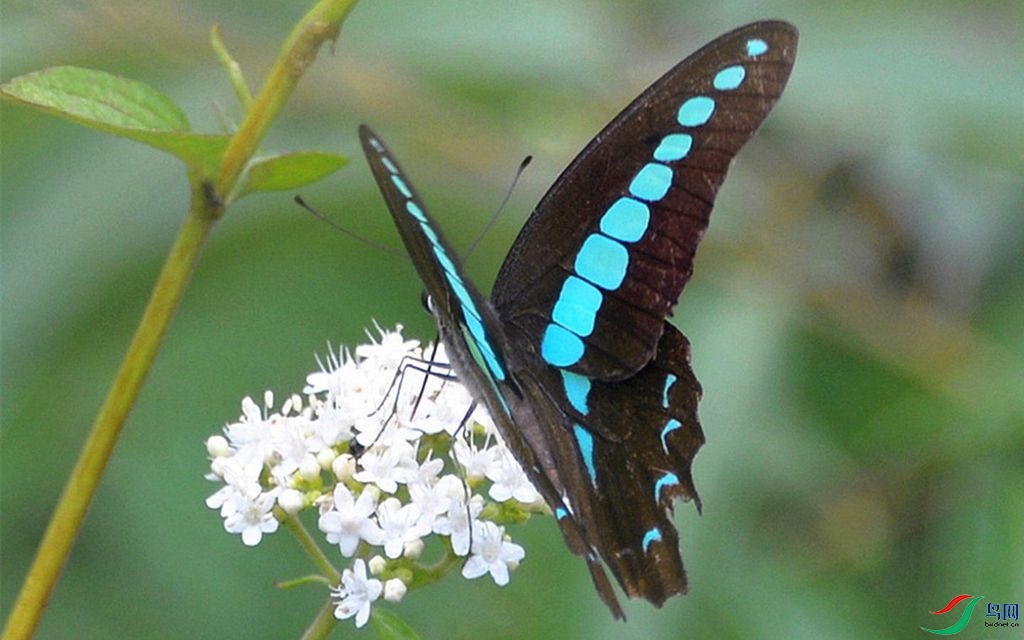 361 (5)_����.jpg