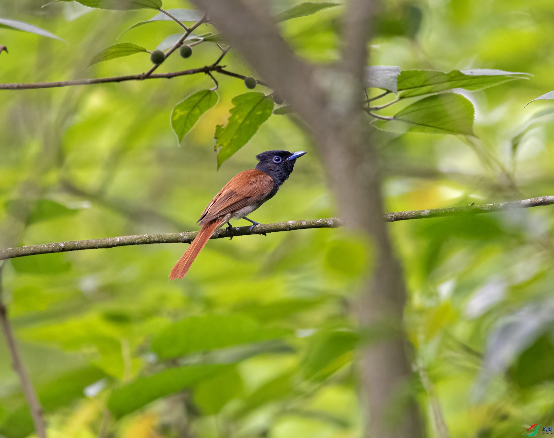 DSC_6630.jpg