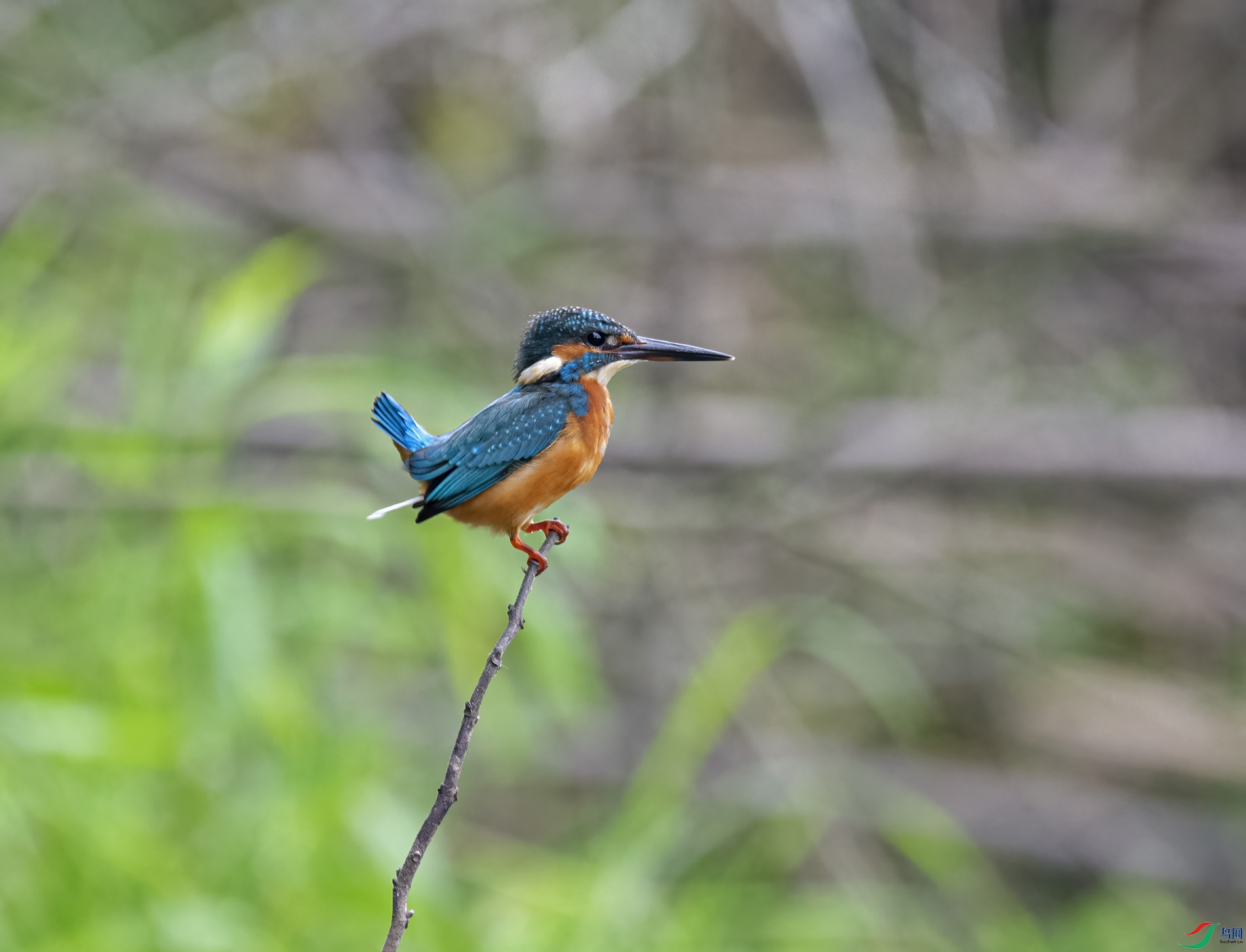 DSC_6623.jpg