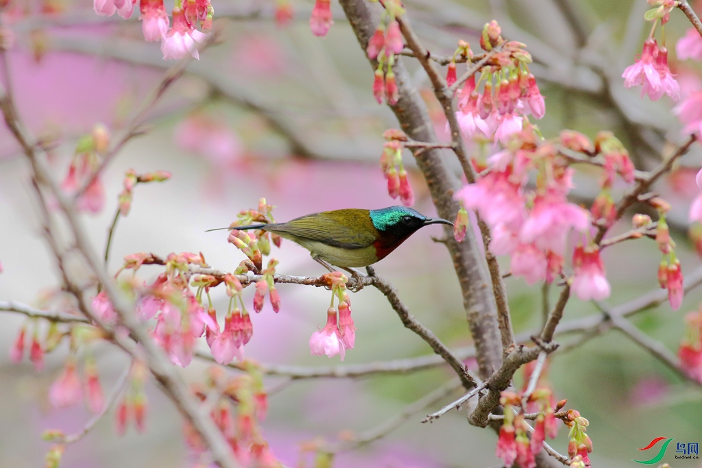 367A7600_����.jpg