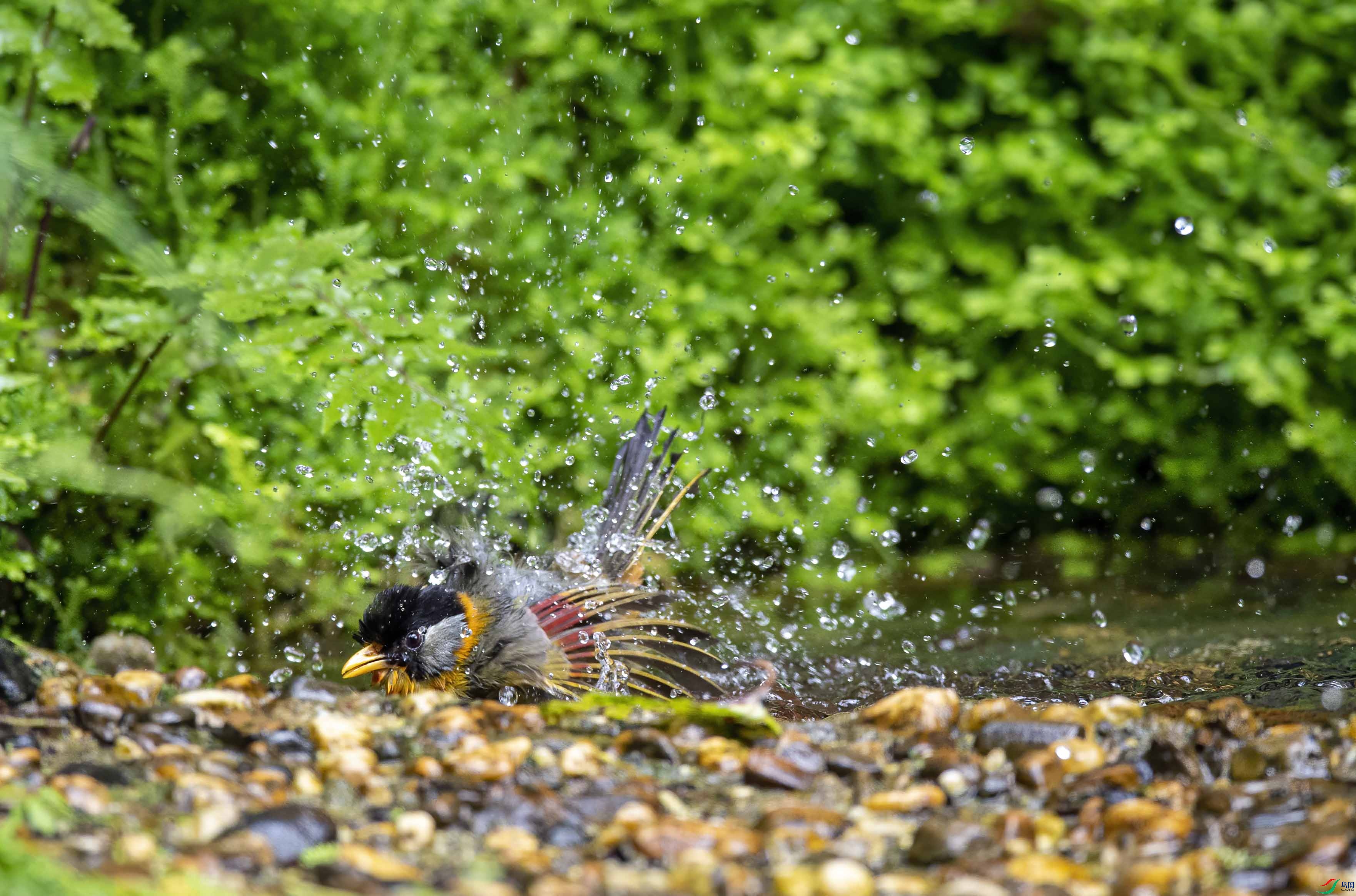 DSC_7626.jpg