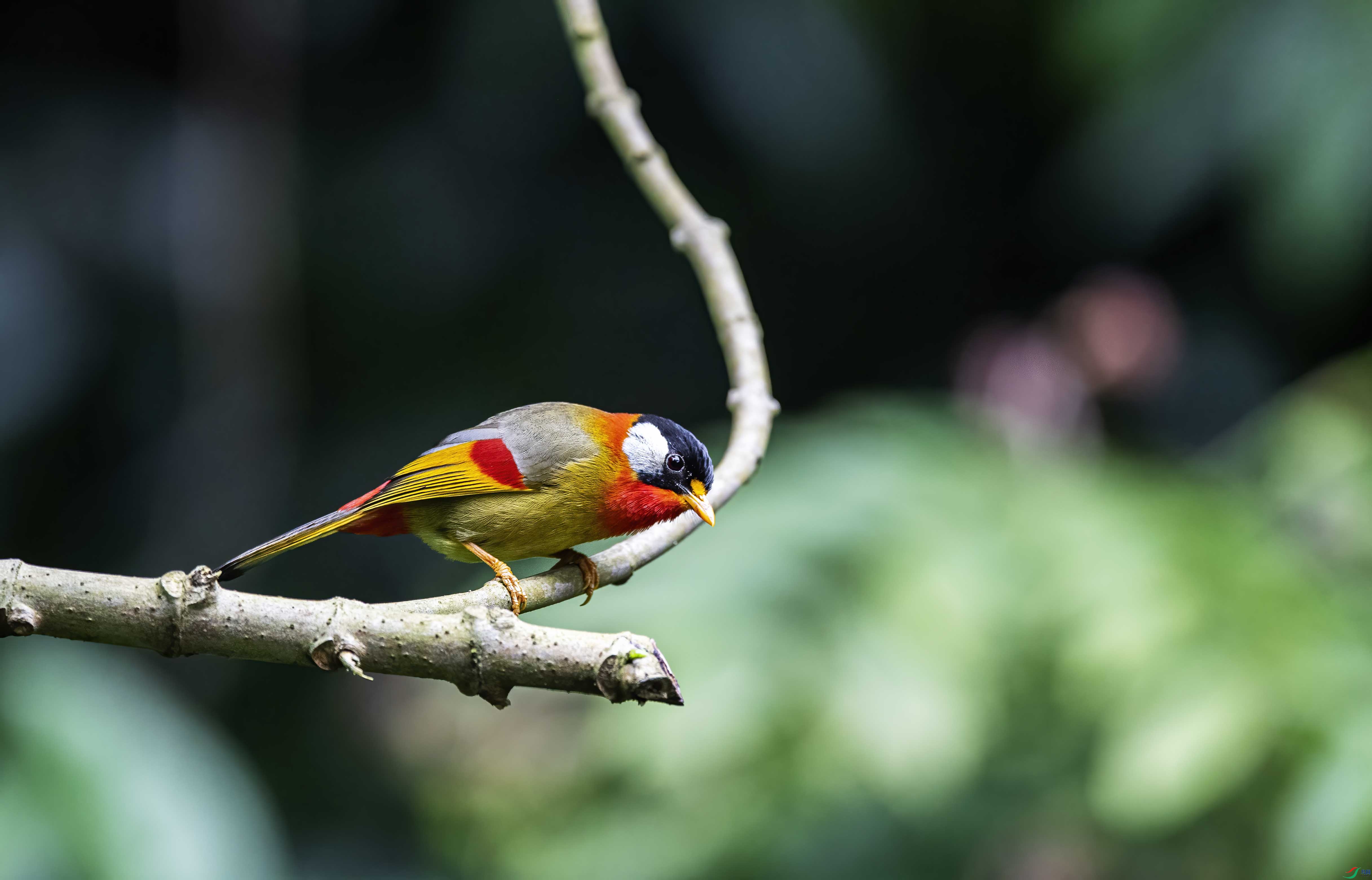 DSC_7820.jpg