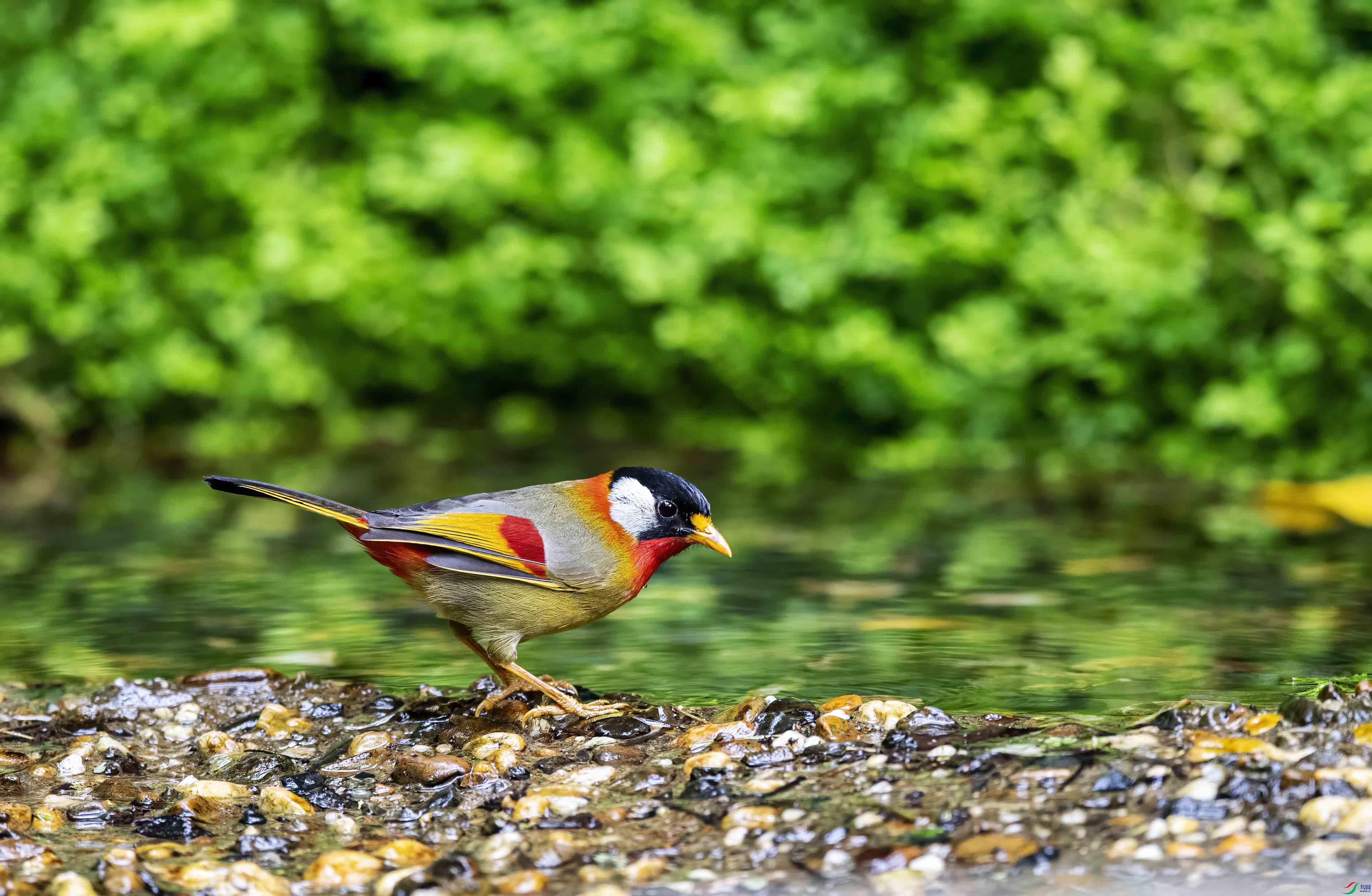DSC_7837.jpg