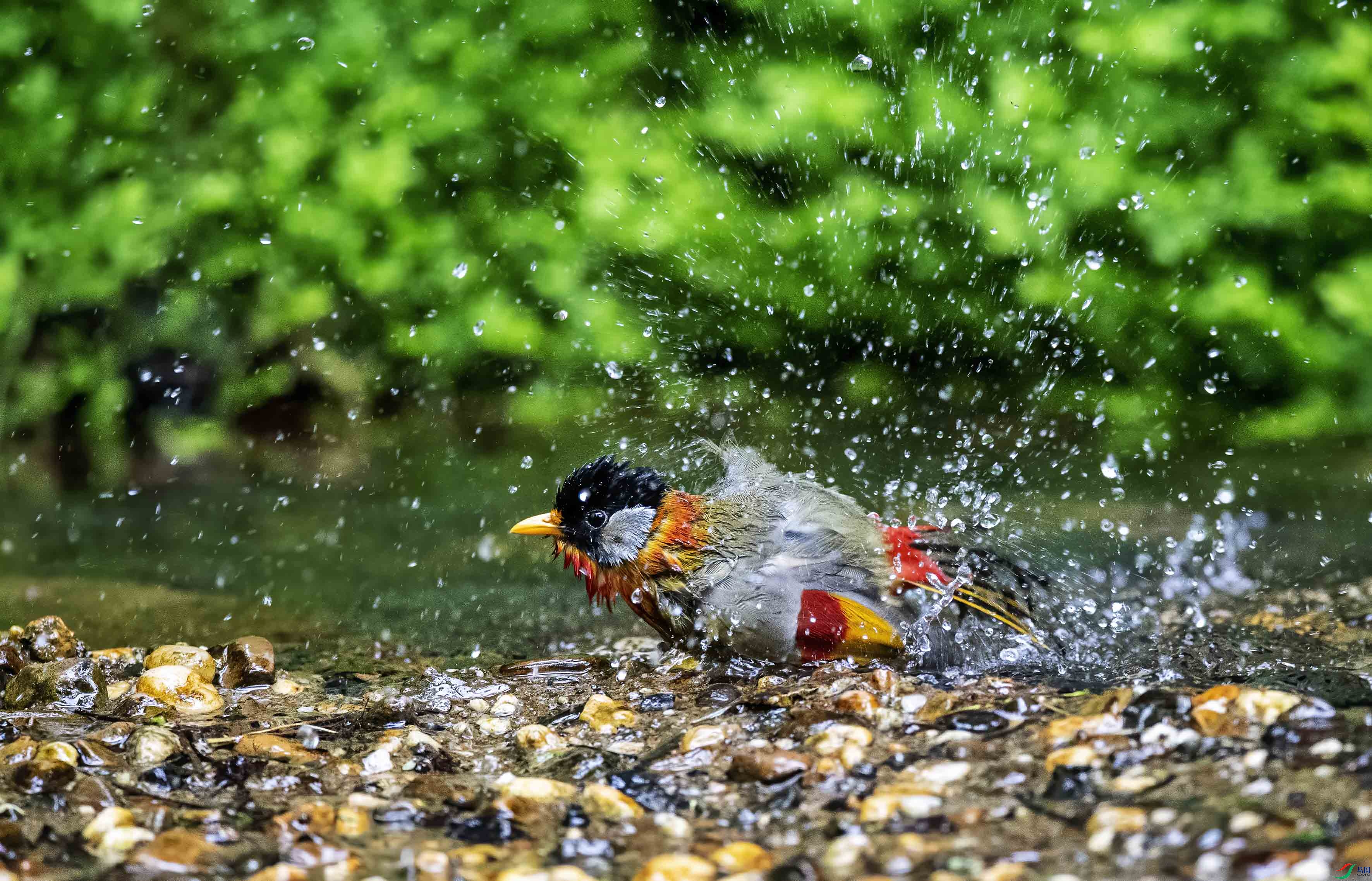 DSC_7879.jpg