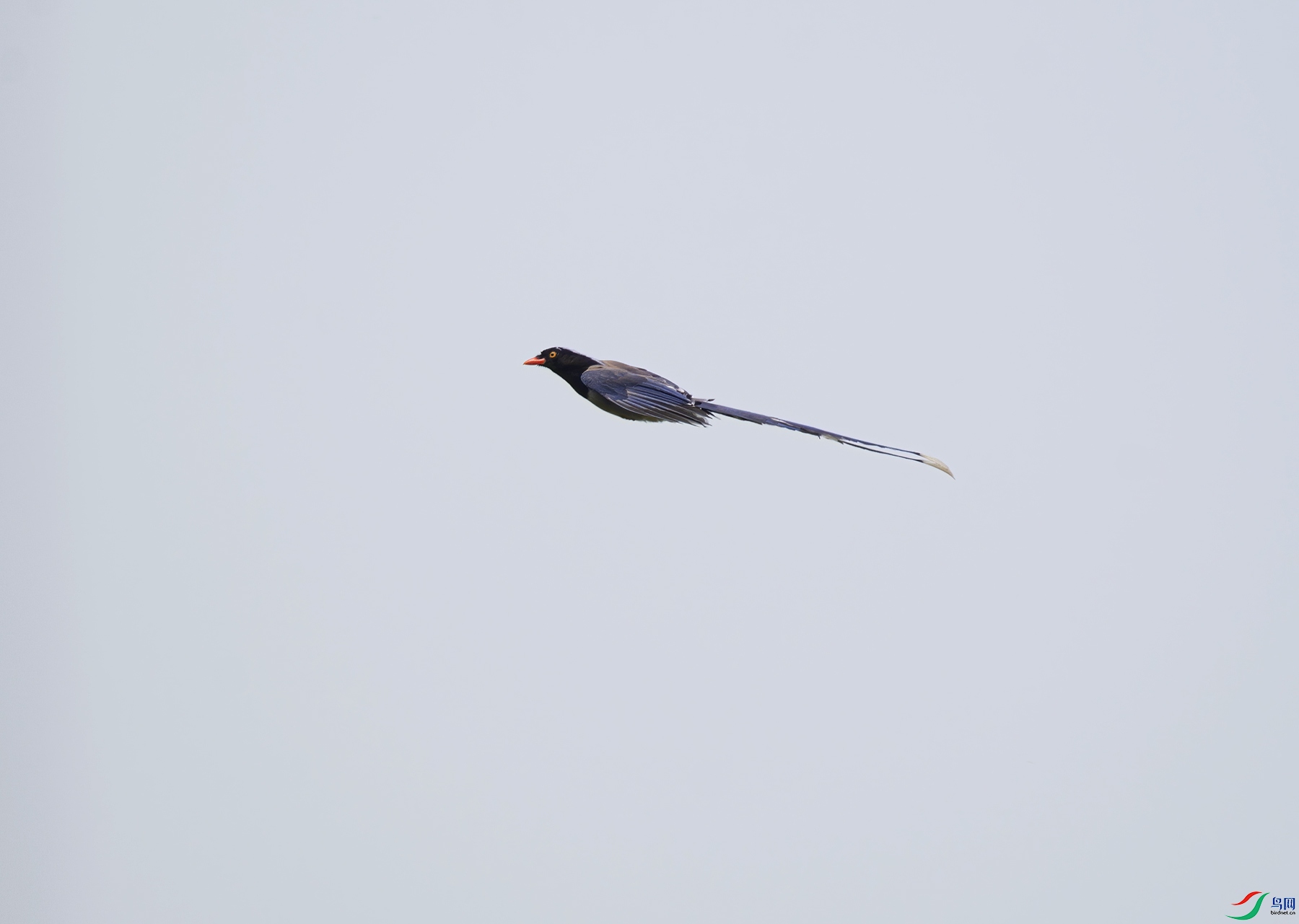 DSC_6387.jpg