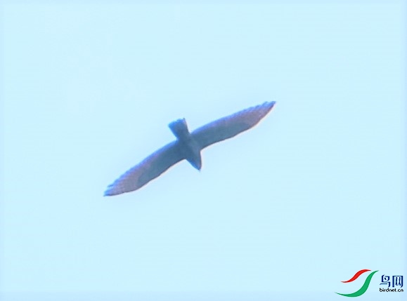 ����1-��������DSCF9213.jpg