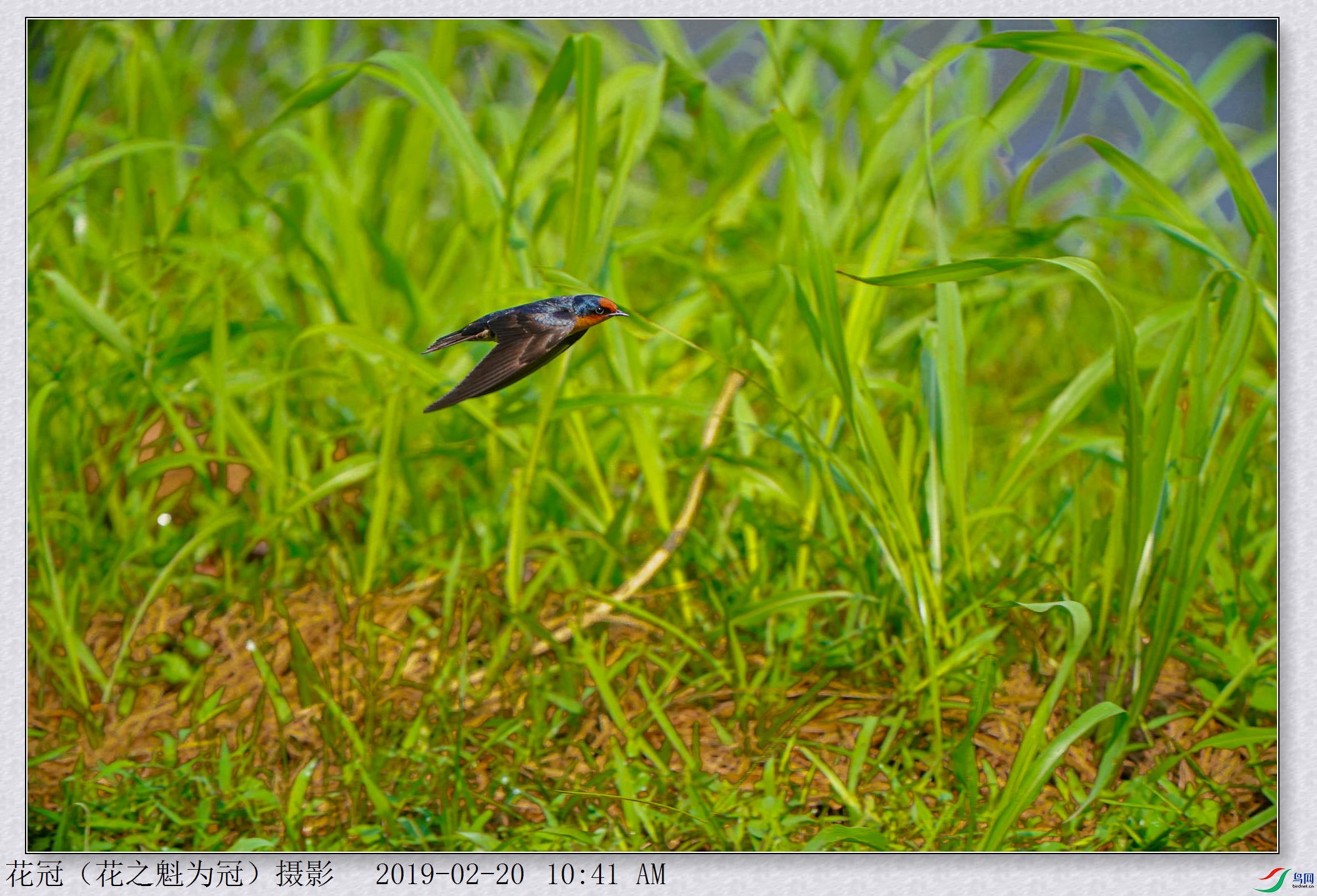 DSC02110B-1_����_����.jpg