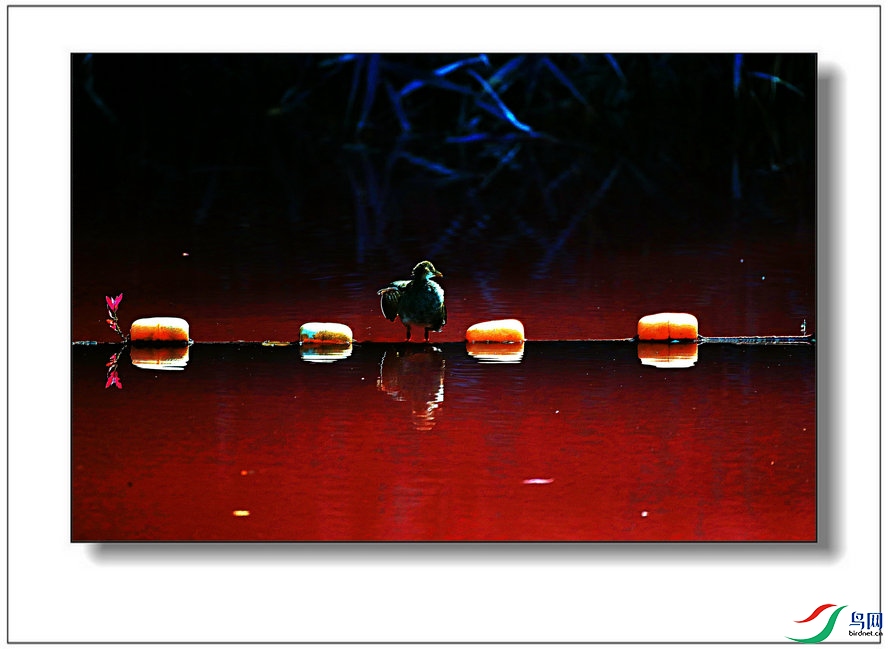 BW6I2187_����_����.jpg