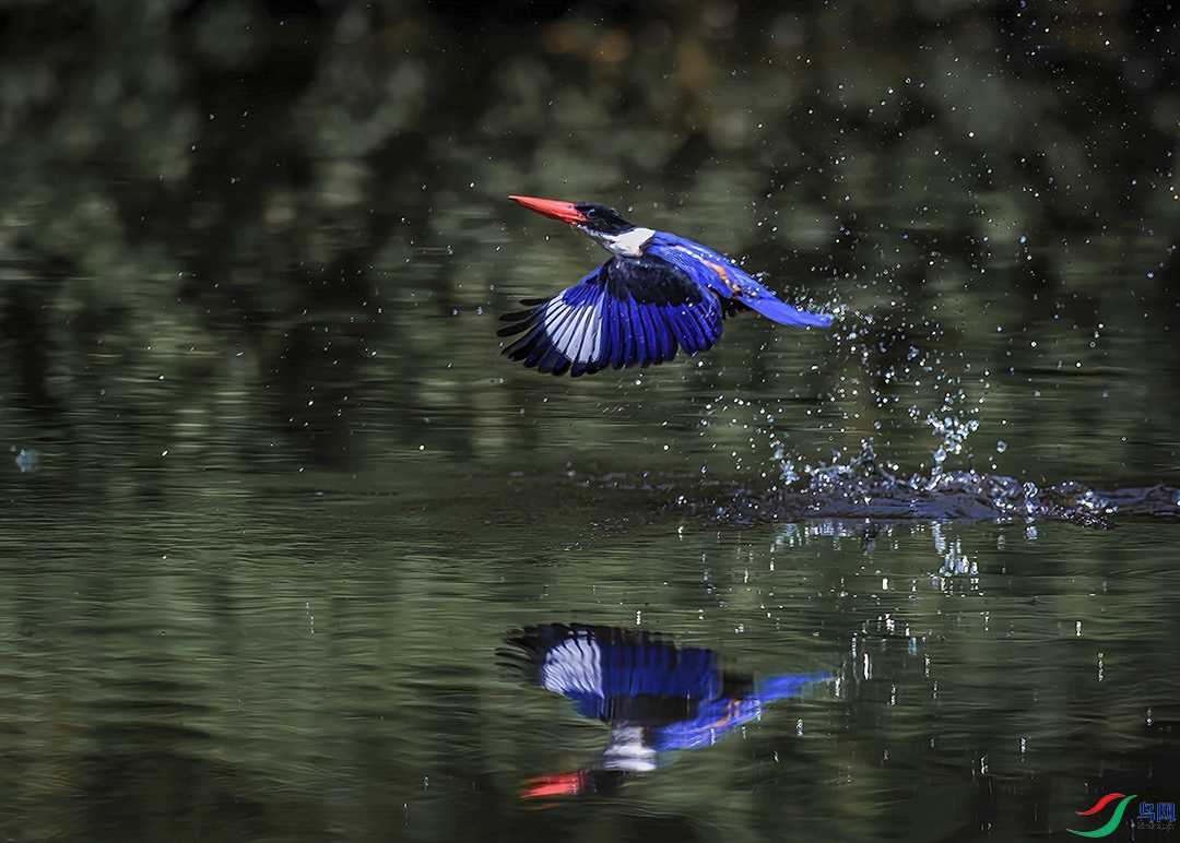 ������������ɽ��