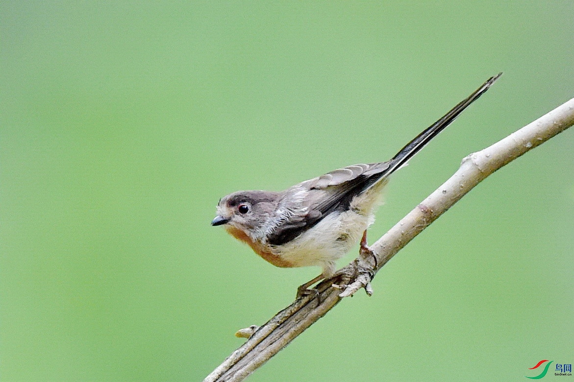 DSC_1049.JPG