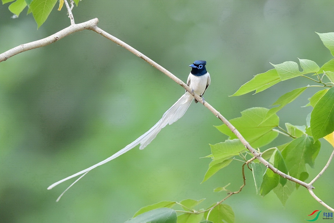 DSC_8735.JPG