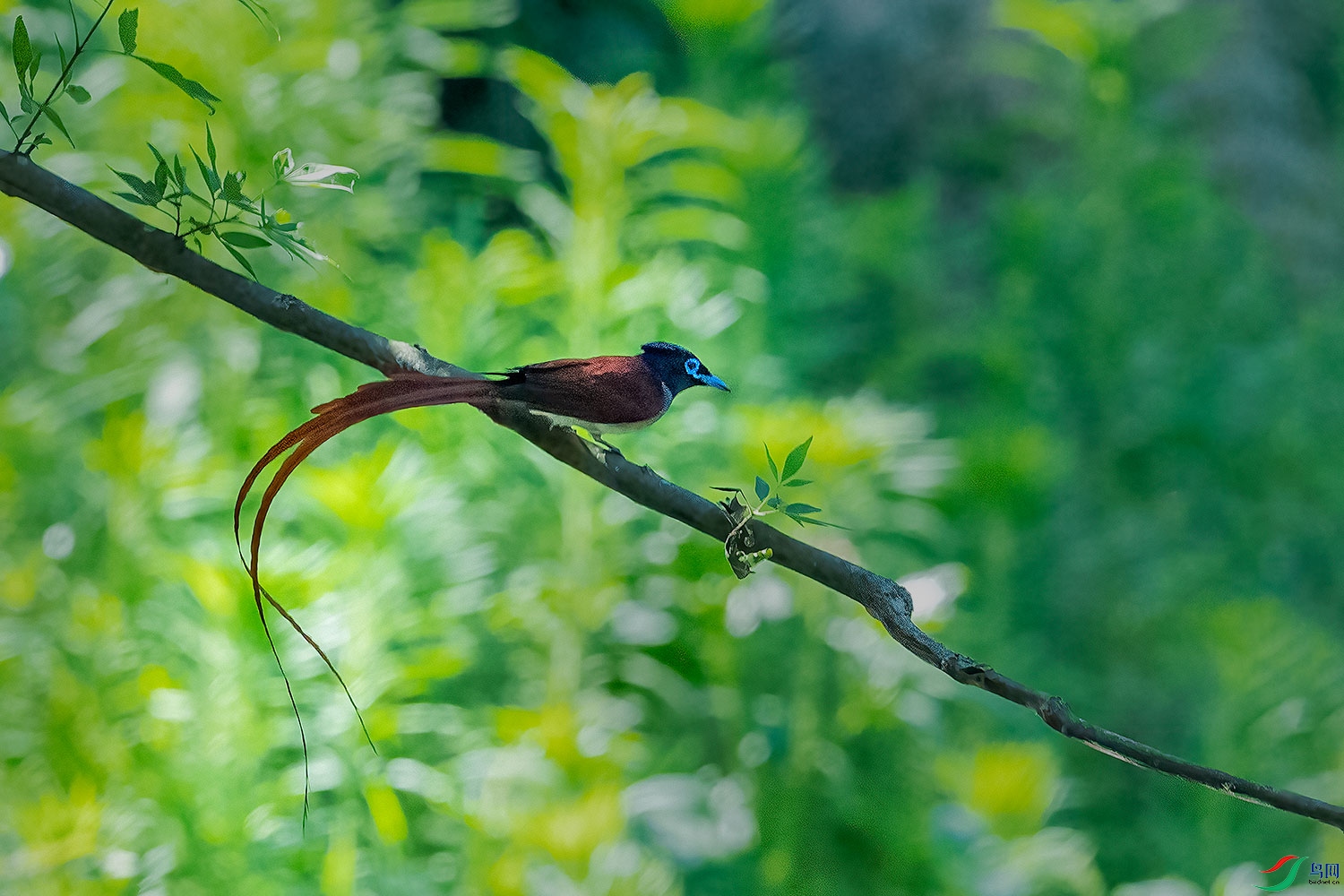 DSC_3121-2.jpg