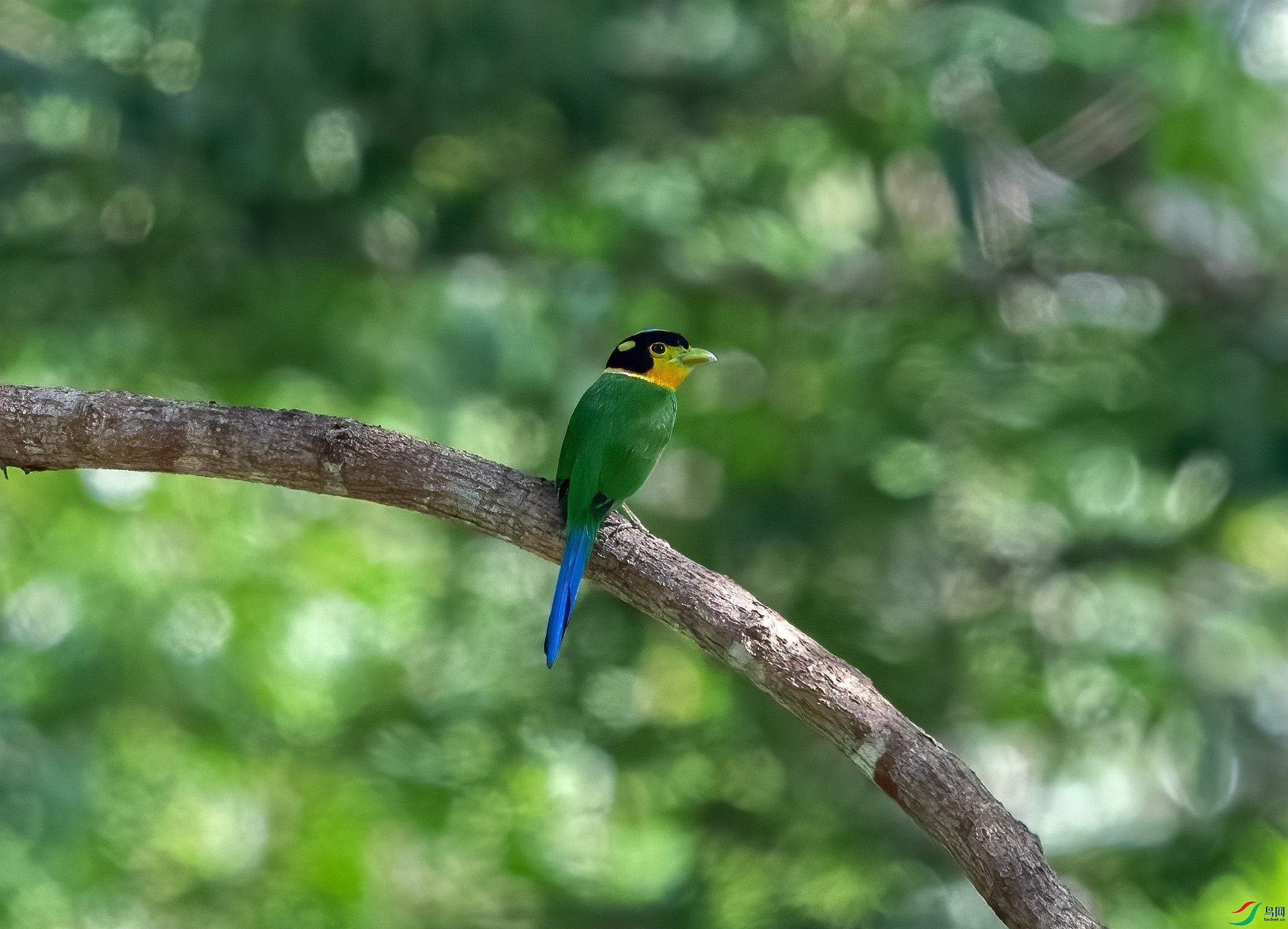 DSC_8717-1_����.jpg