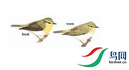 �ޱ���.jpg