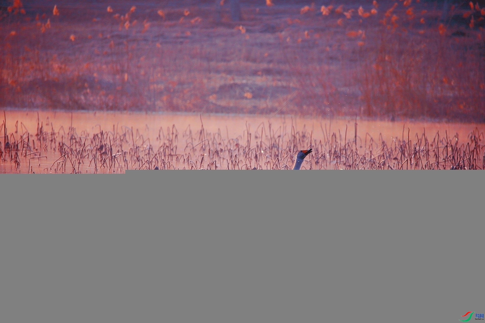 DB4W2873_����.jpg