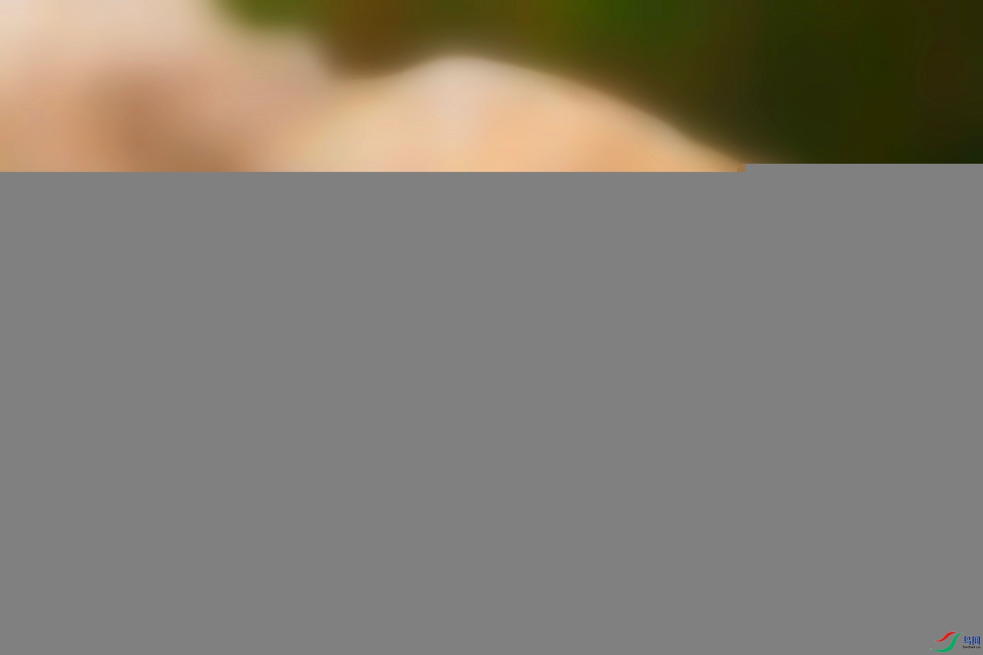 AS8I2549_����_����.jpg