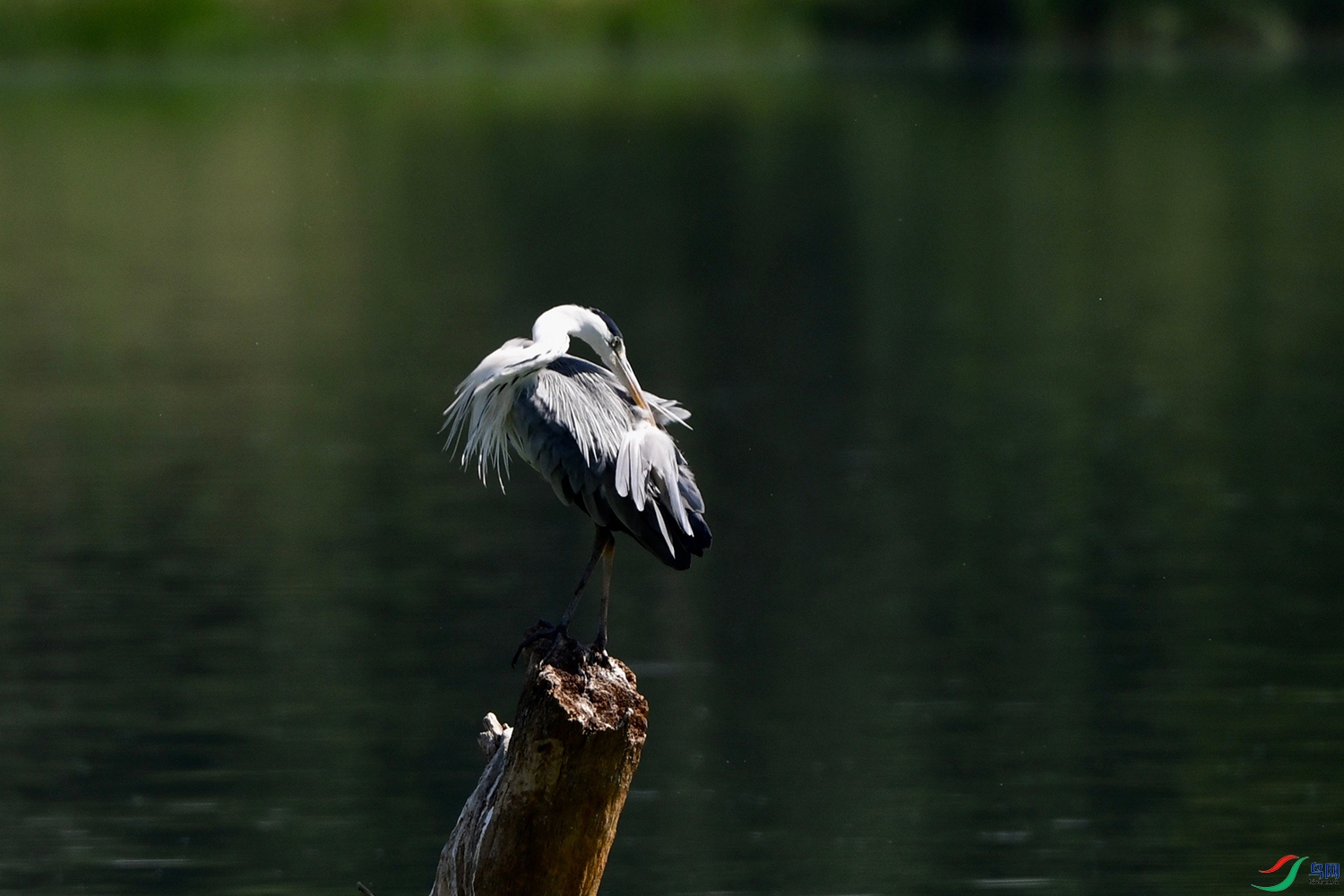 DSC_6238.jpg