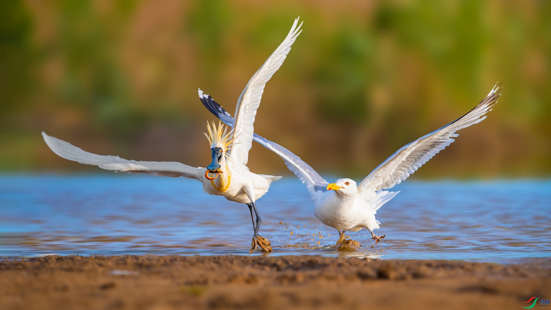 ��Ƭ1DSC_6722.jpg