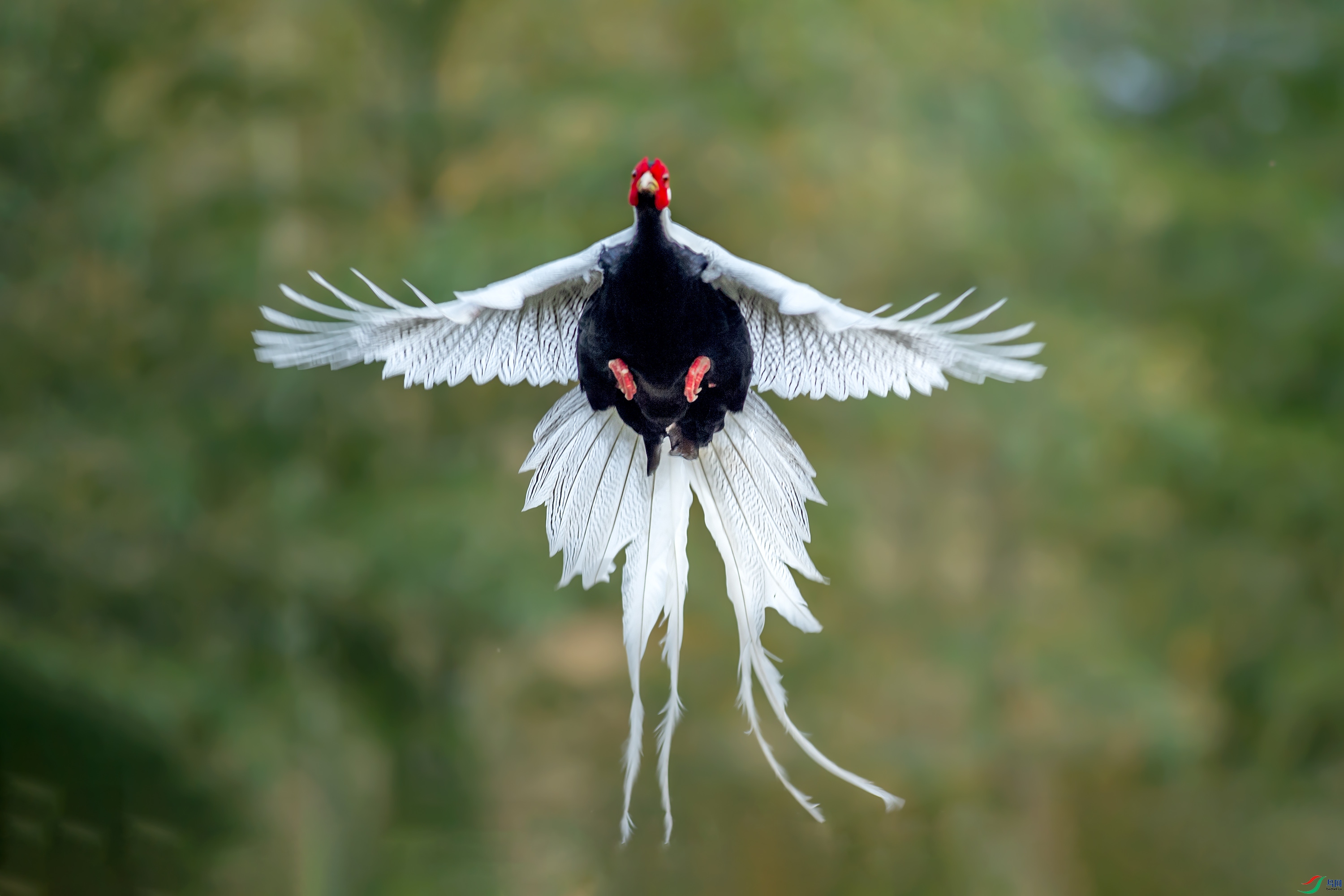 DSC_4313-3.jpg