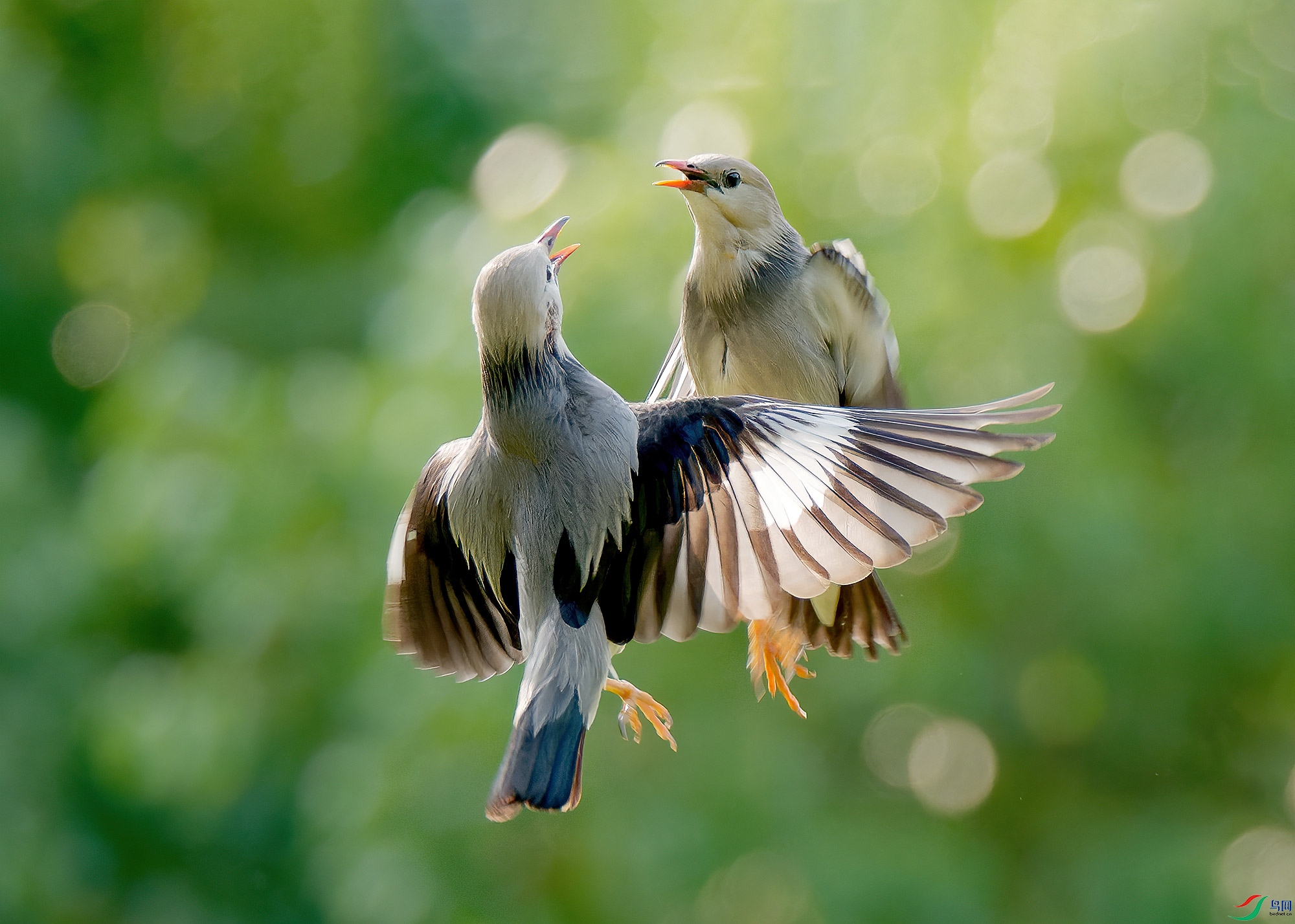 PLIU6296.jpg