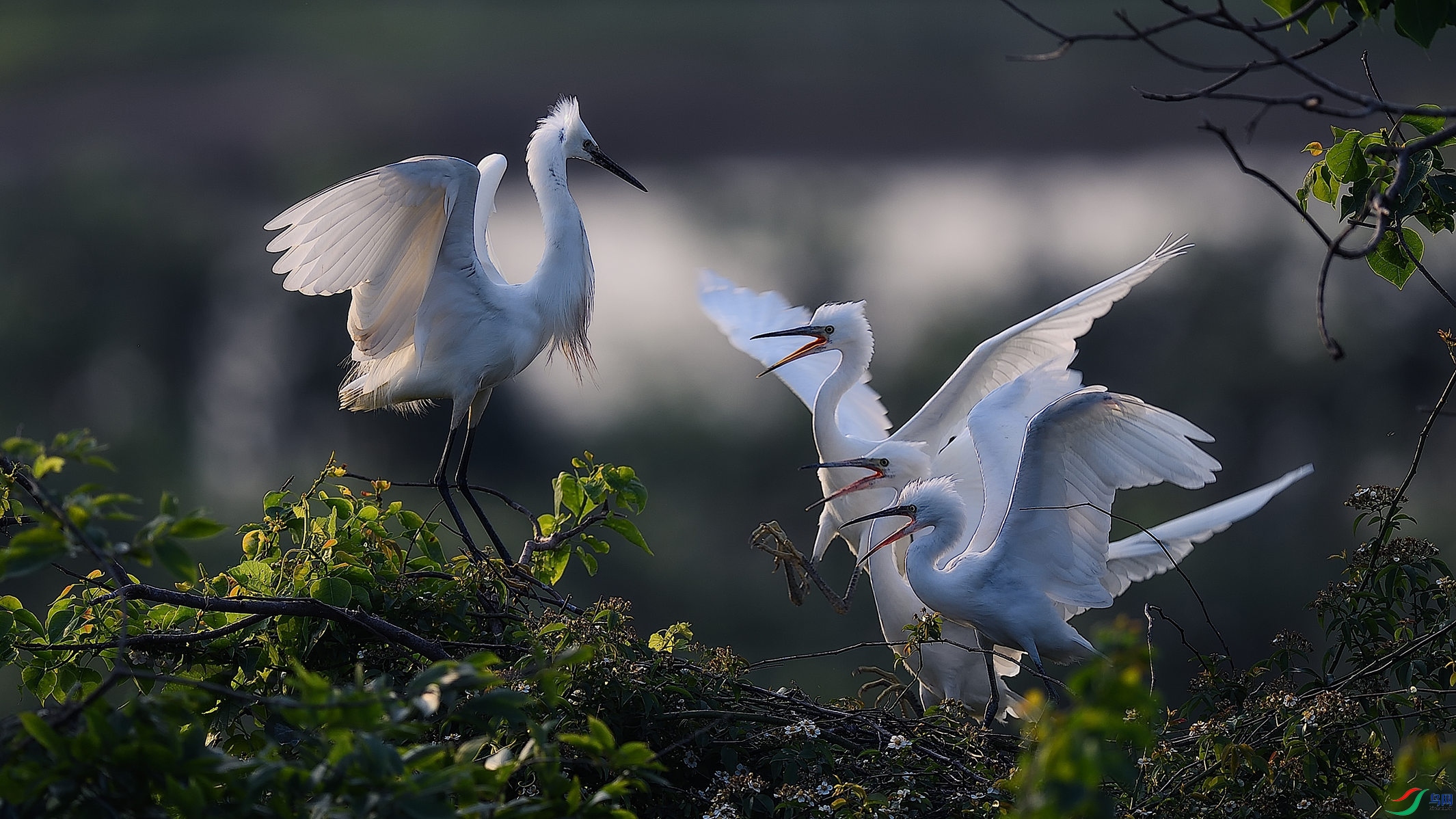 æµ��ĸ�ס��������ǻ�û�Ա���