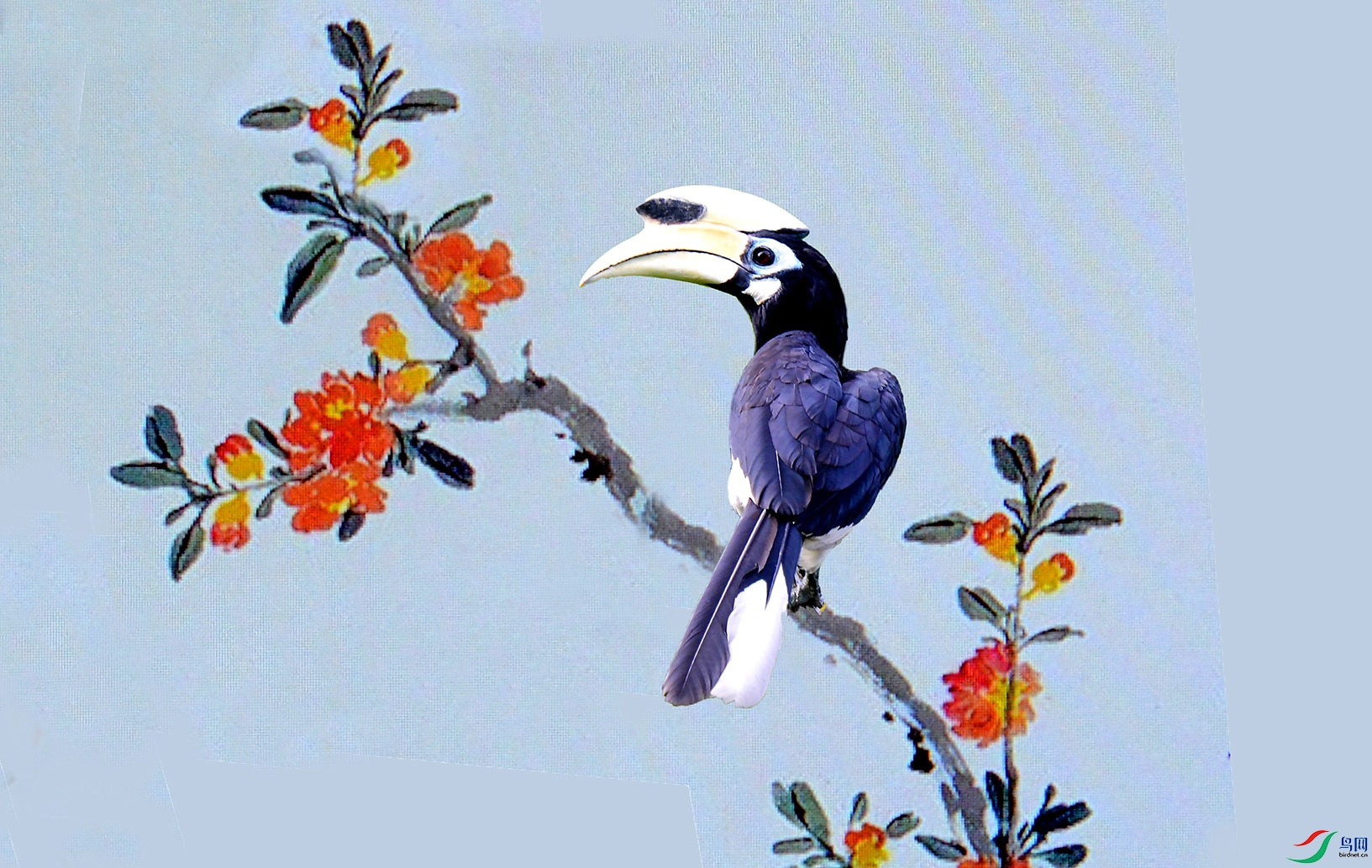 5.�ͻ�-�ڰ�Ϭ��1822AM.jpg