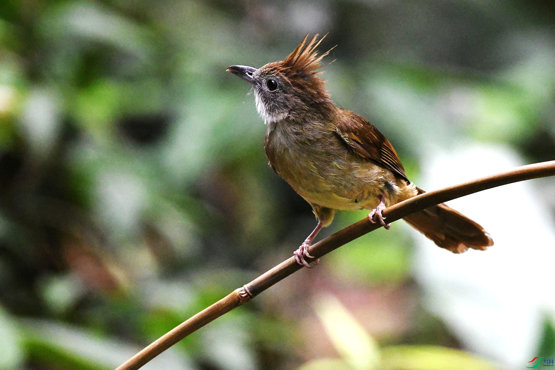 NIKON D5002300_����.jpg