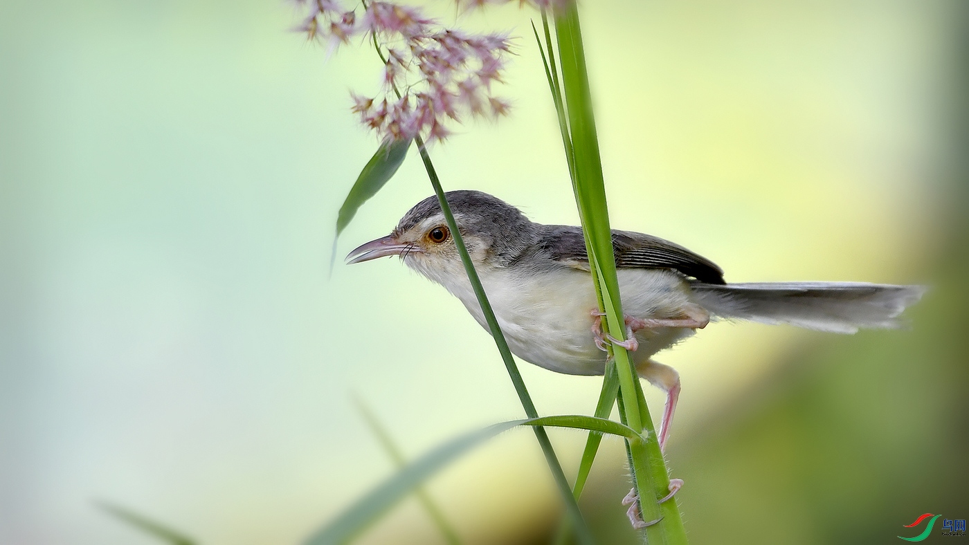 _DSC3824 - ����.JPG