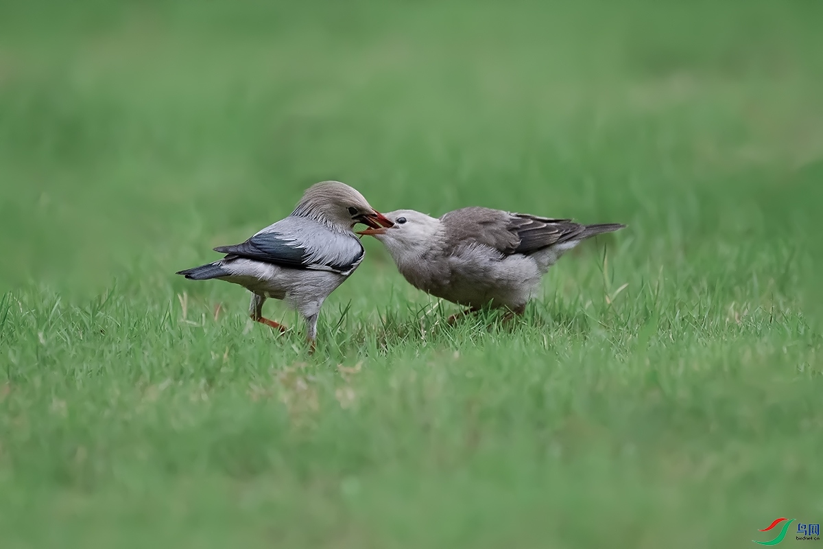 DSC_p7687.jpg