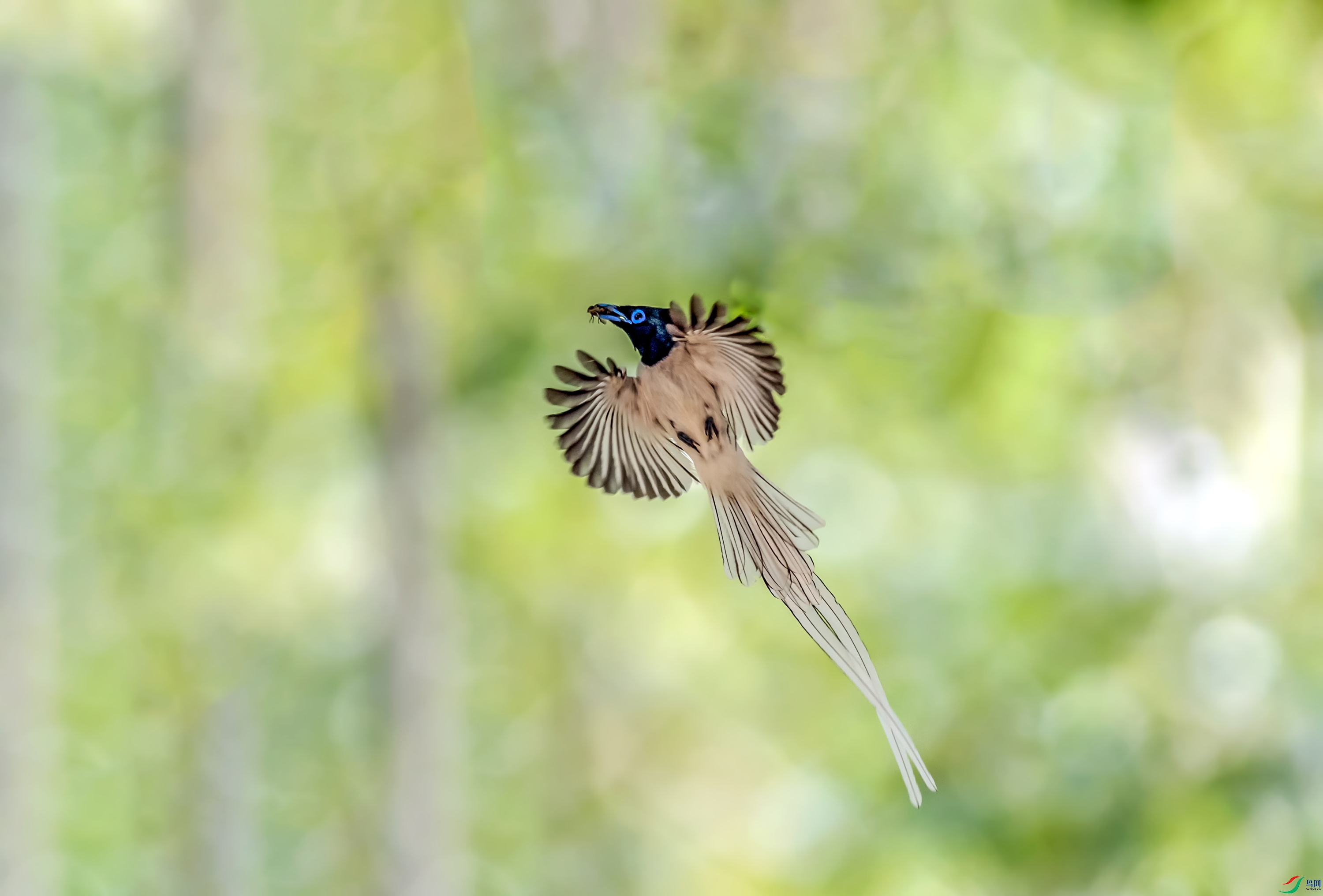 DSC_0803_��ͼ��.jpg--small--one.jpg