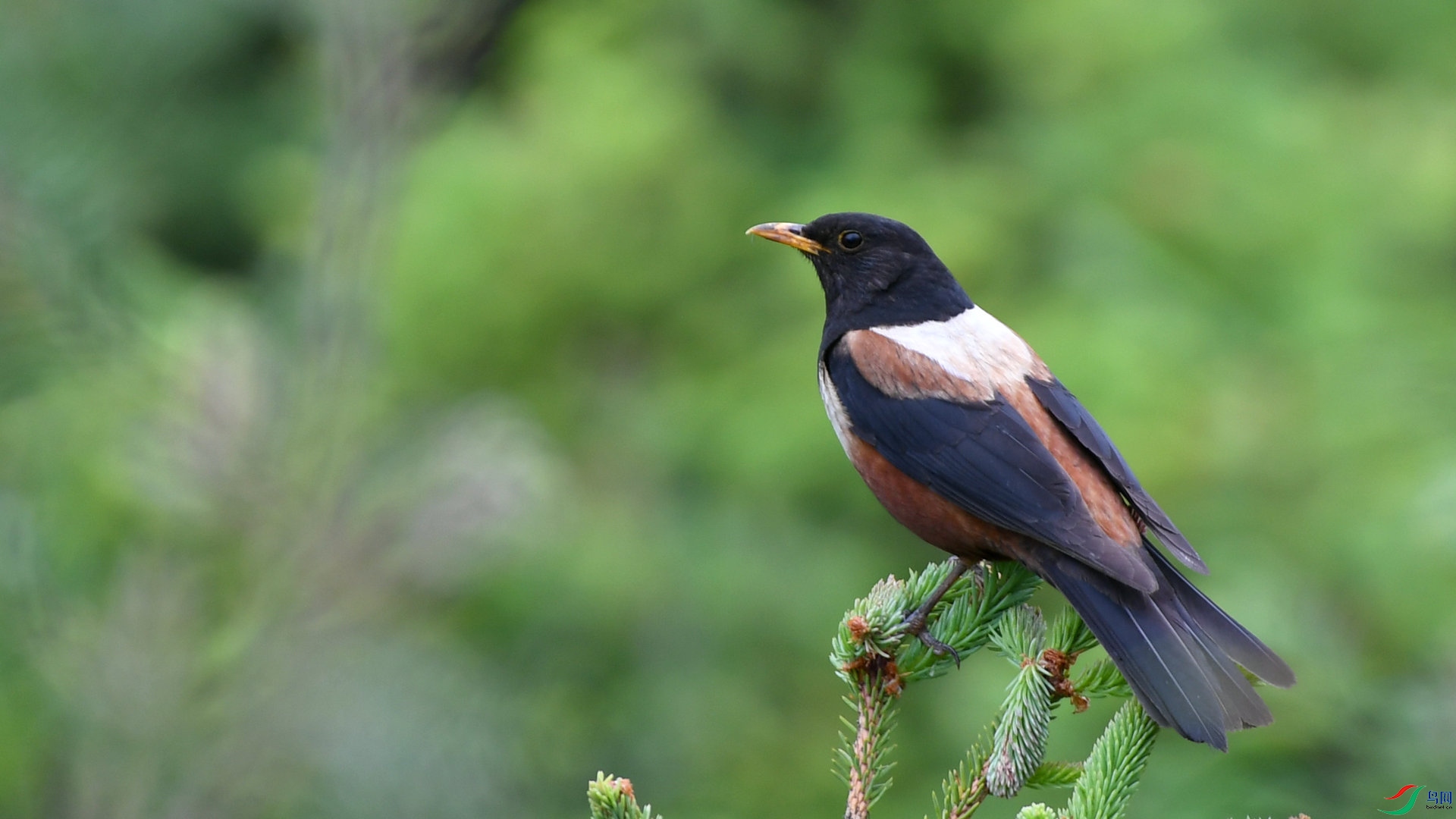 DSC_4157.jpg