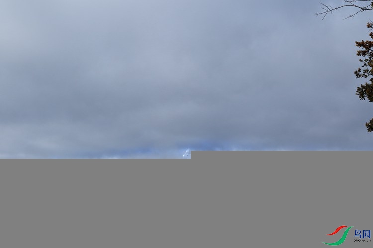 0S2A0760.JPG