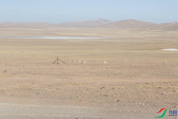 0S2A2195.JPG