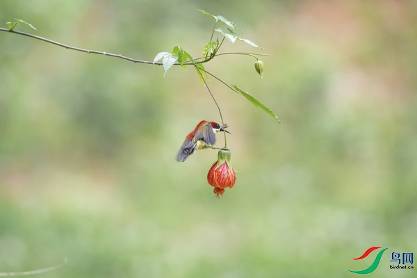 DSC_4961a.jpg