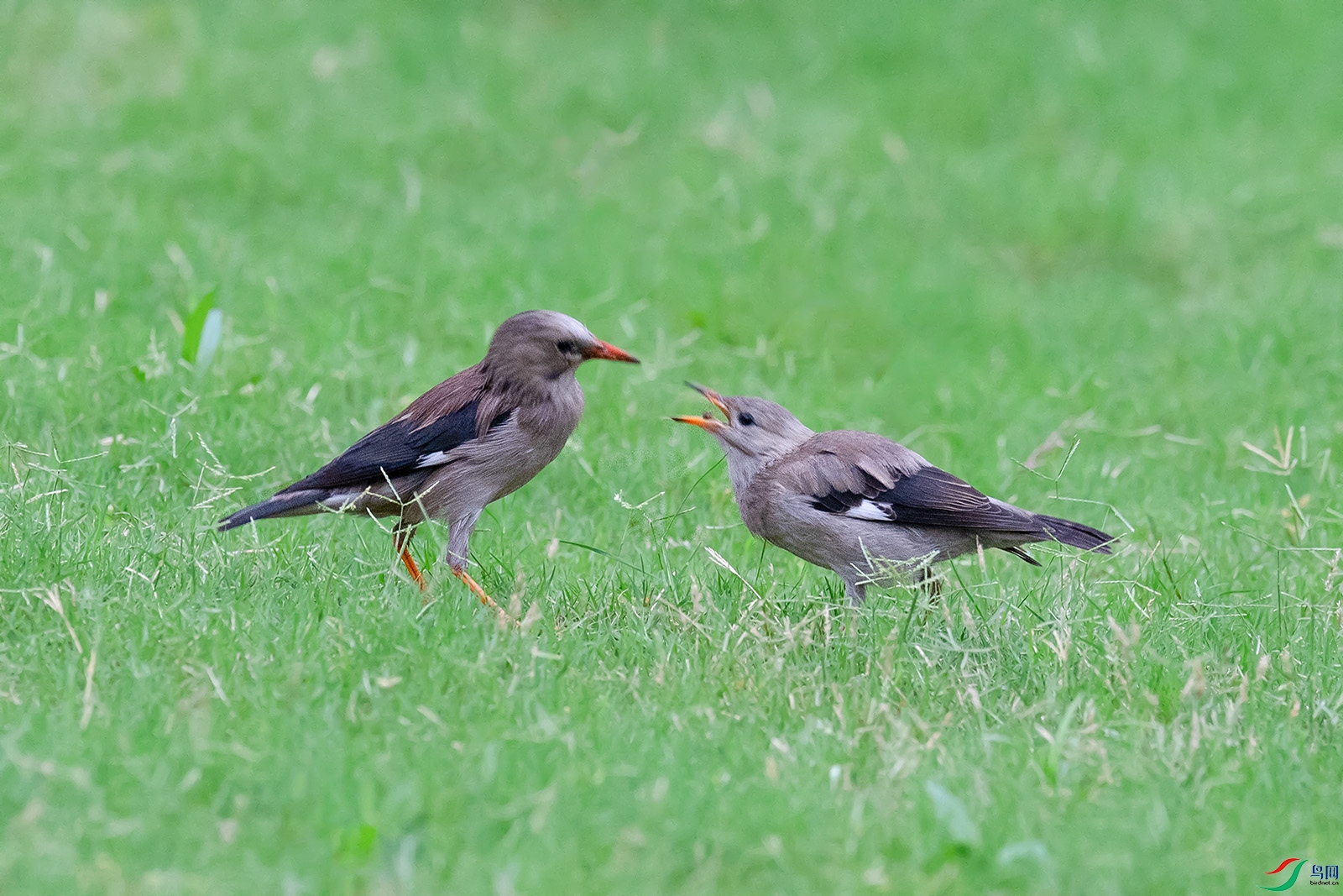 DSC_p8076.jpg