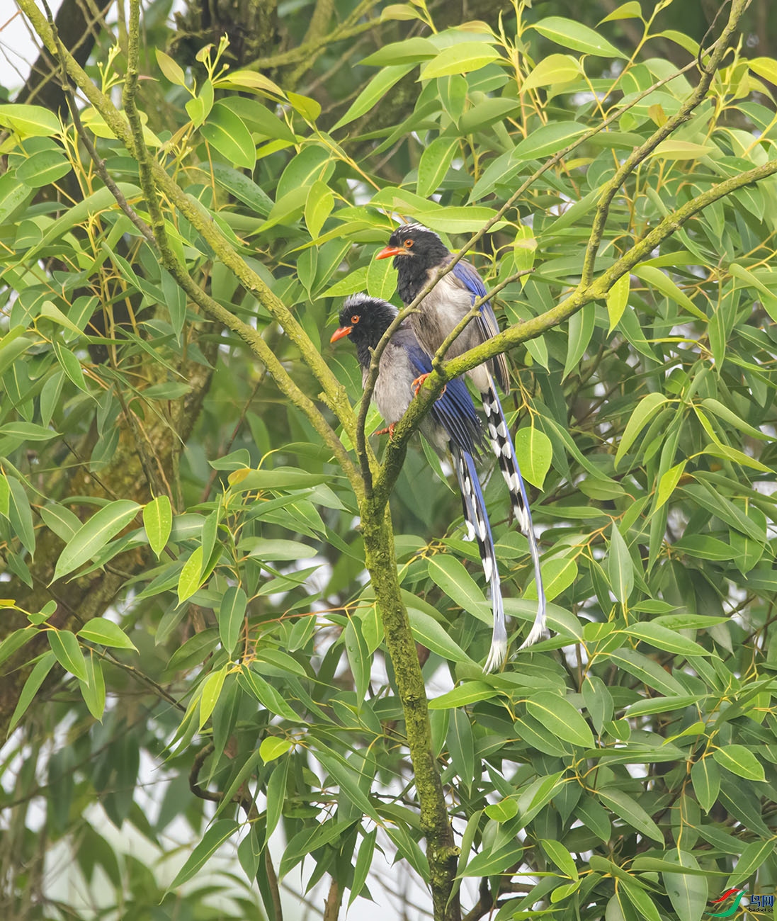 DSC_6054.jpg