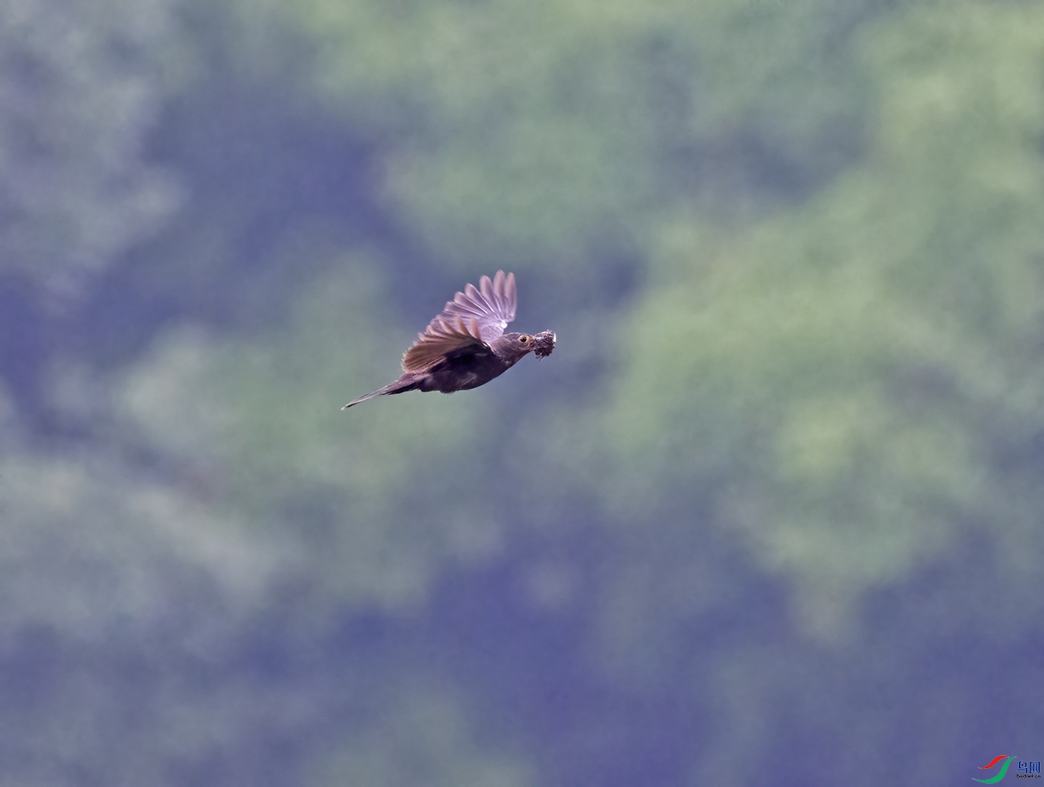 DSC_7110.jpg