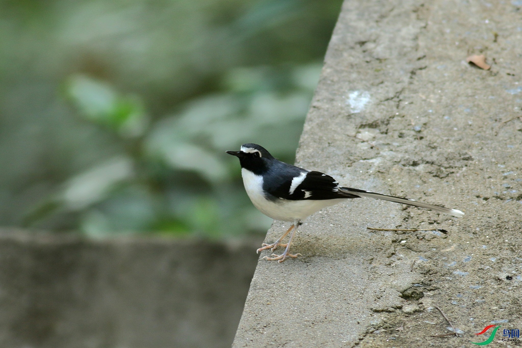 367A8554_����.jpg