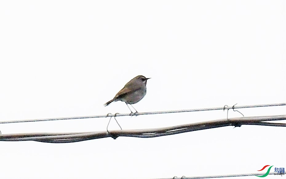 ������ (2).JPG