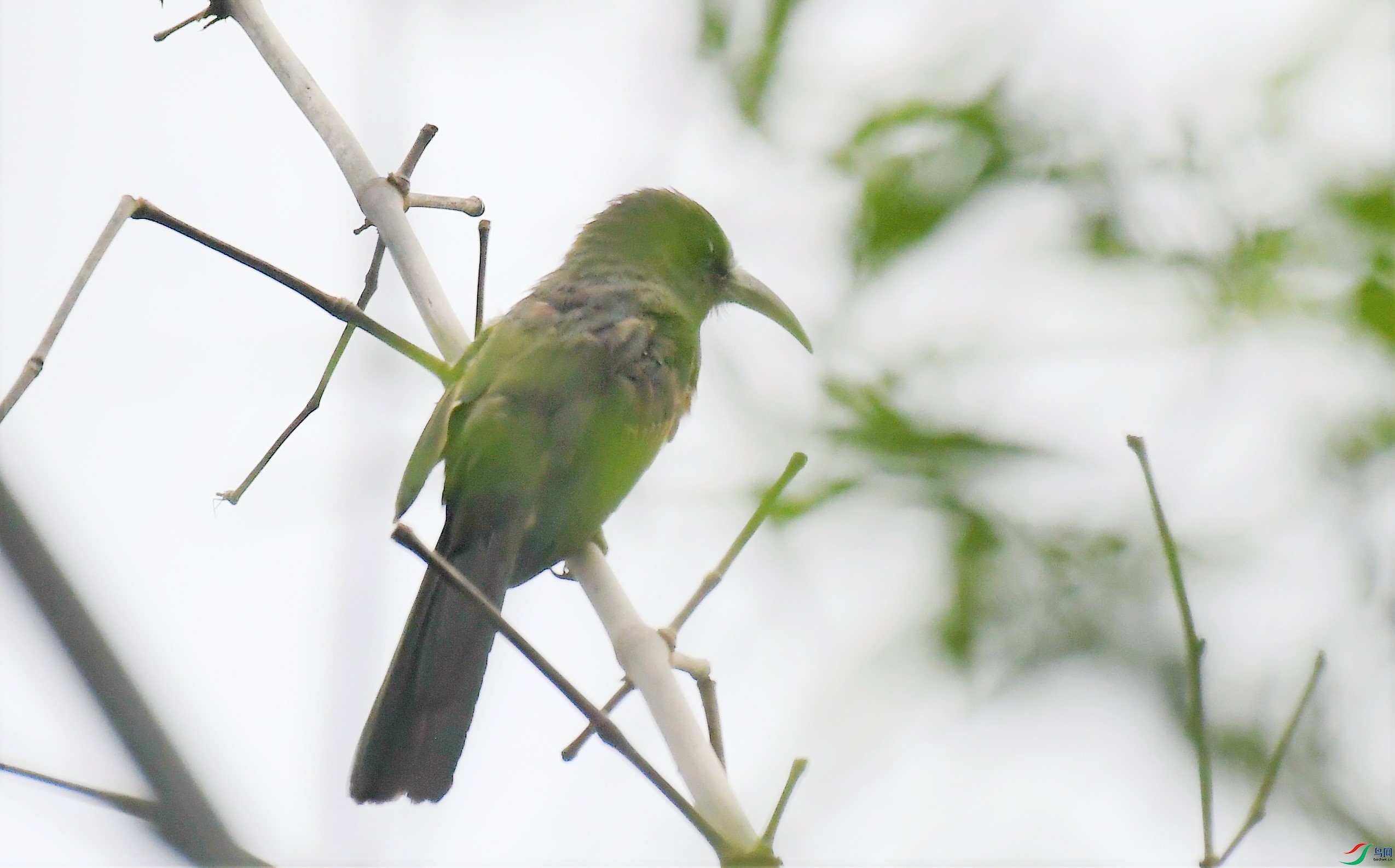 ��̫ƽ������ (1).JPG