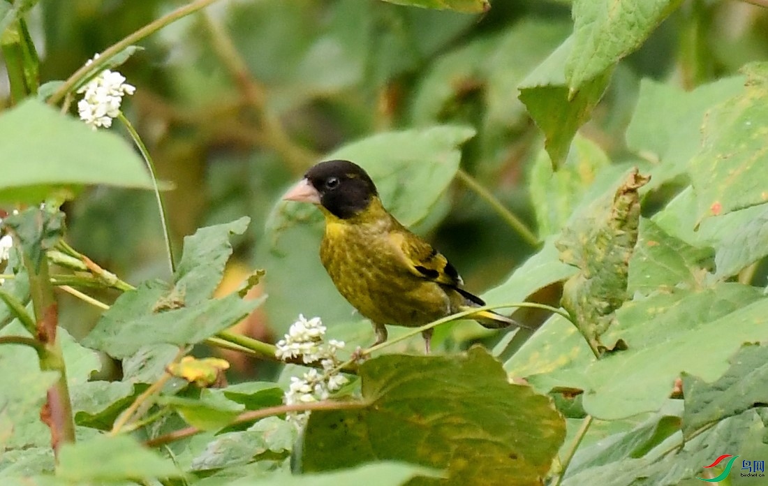 ���ڳ��˳���� (2).JPG