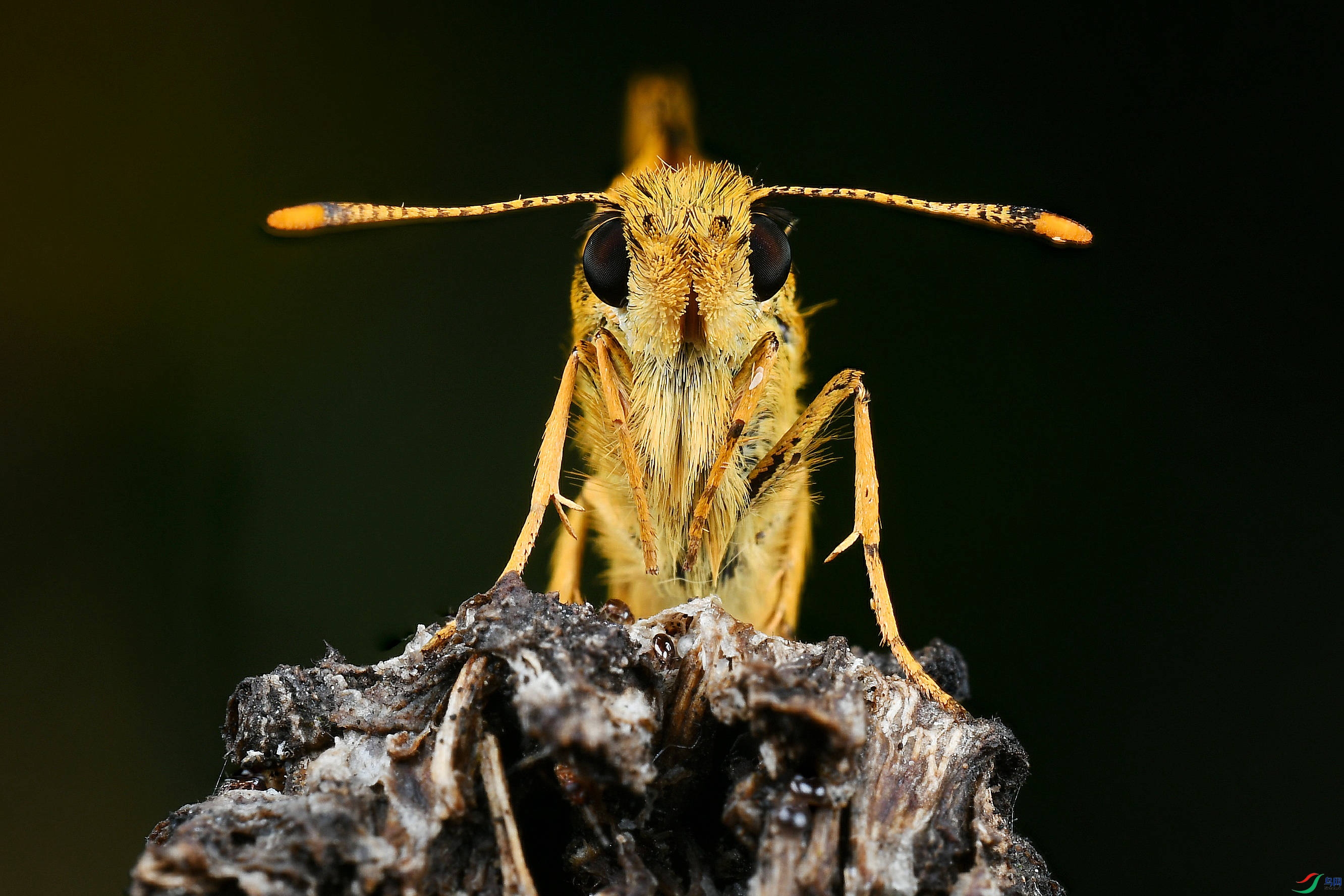 2021-06-17 19-02-48 (B,Radius8,Smoothing4)_����.jpg